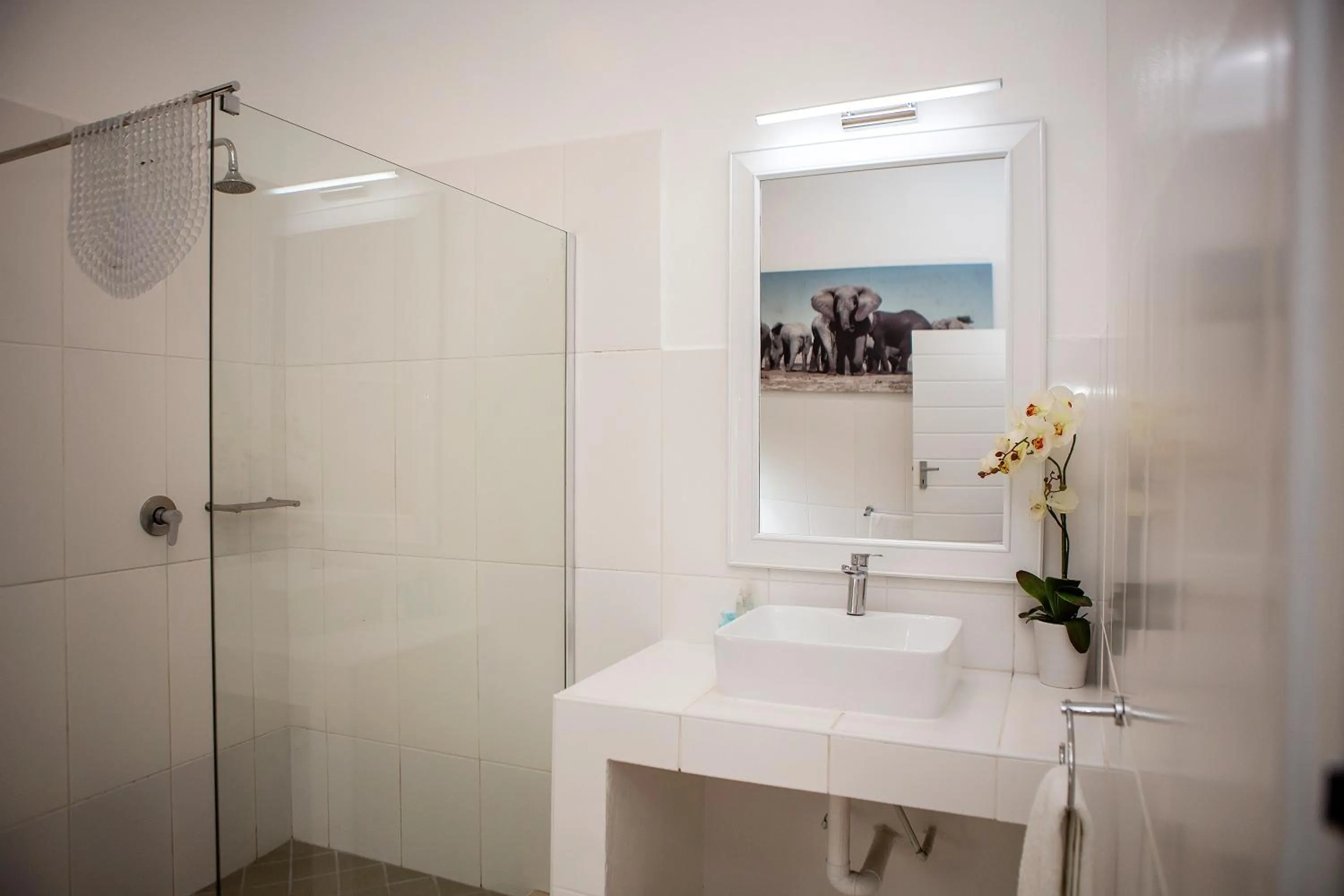 Shower in Emdoneni Lodge with Zululand Cat Conservation Project