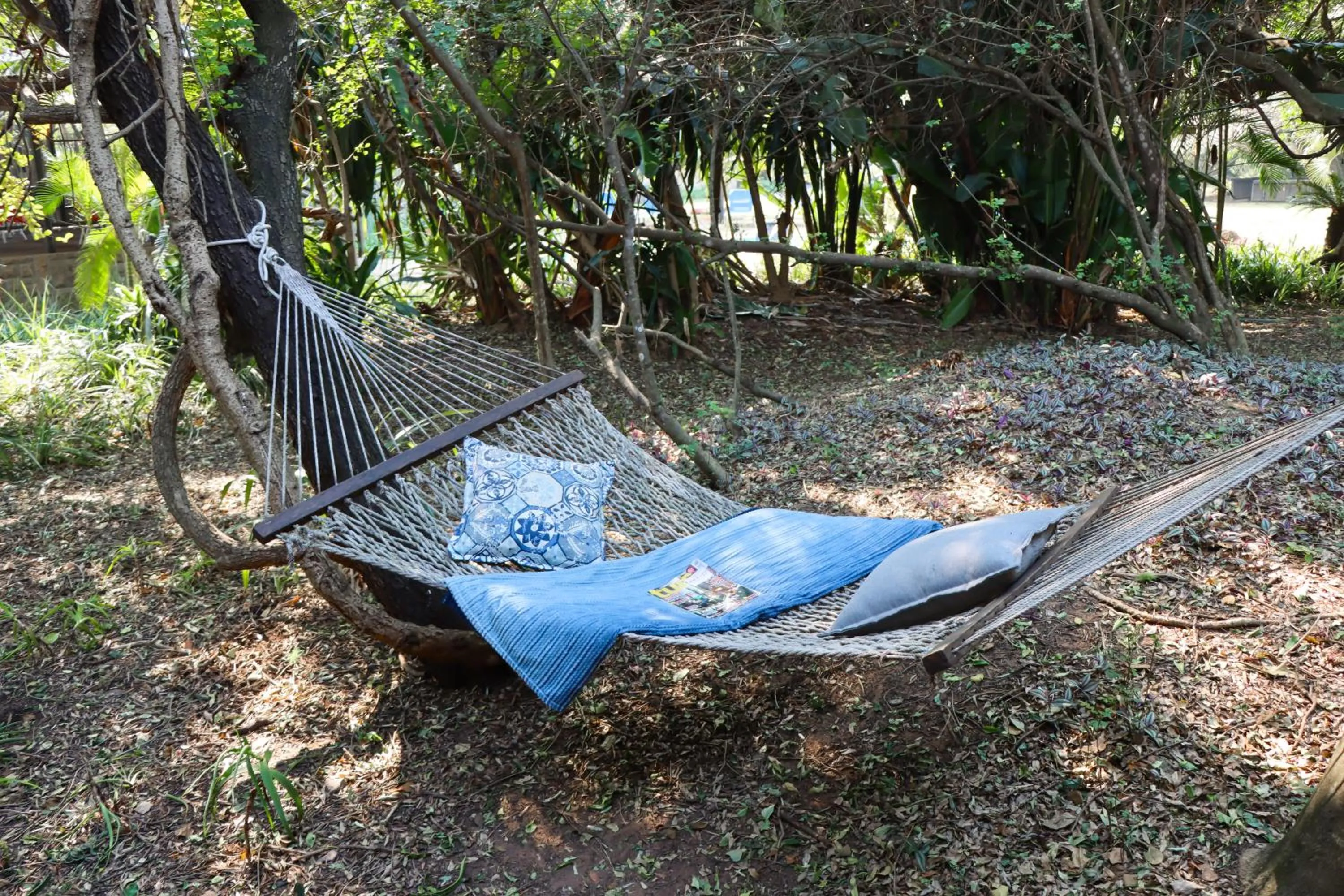 Spring in Emdoneni Lodge with Zululand Cat Conservation Project