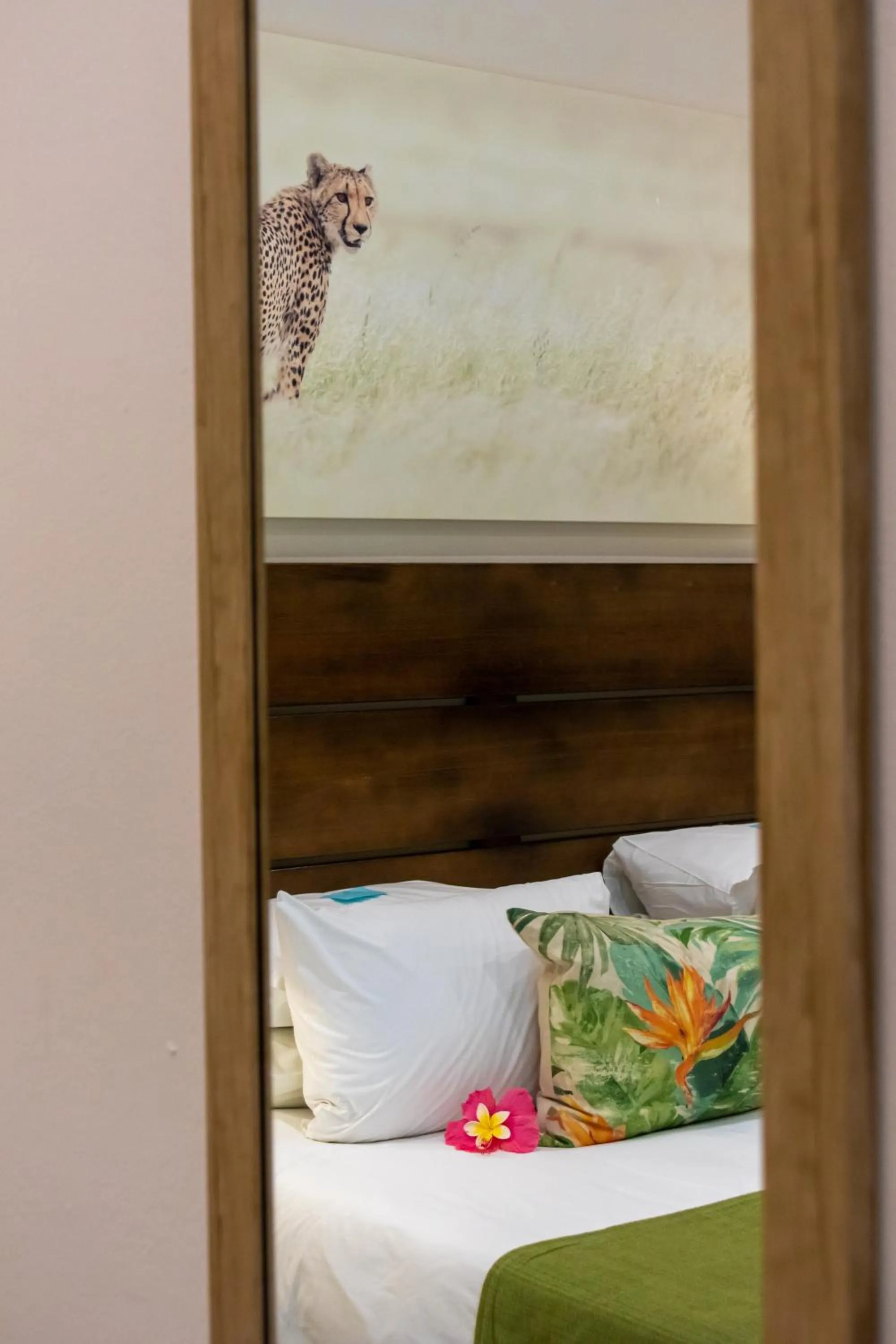 Bed in Emdoneni Lodge with Zululand Cat Conservation Project