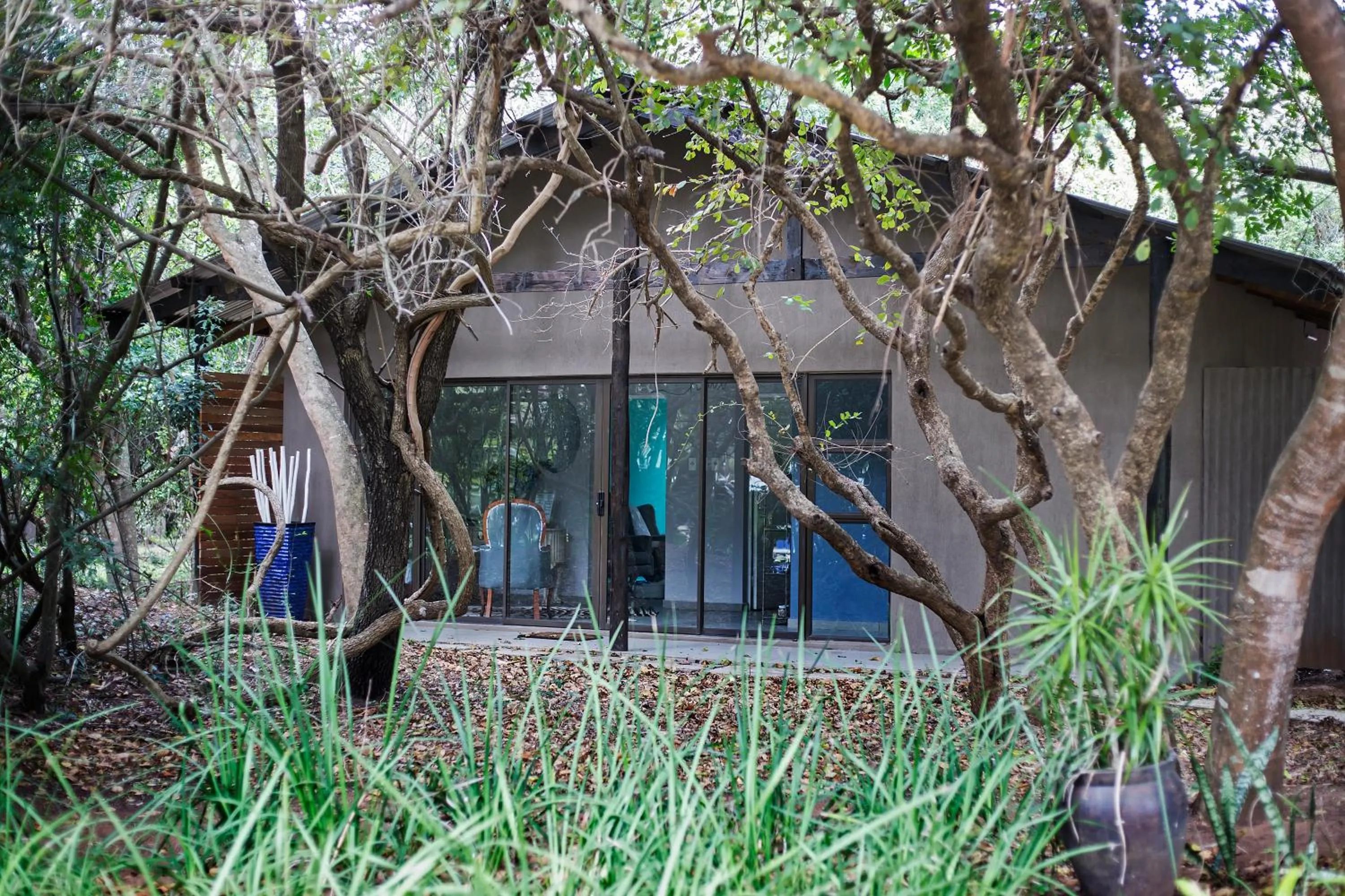 Property building in Emdoneni Lodge with Zululand Cat Conservation Project