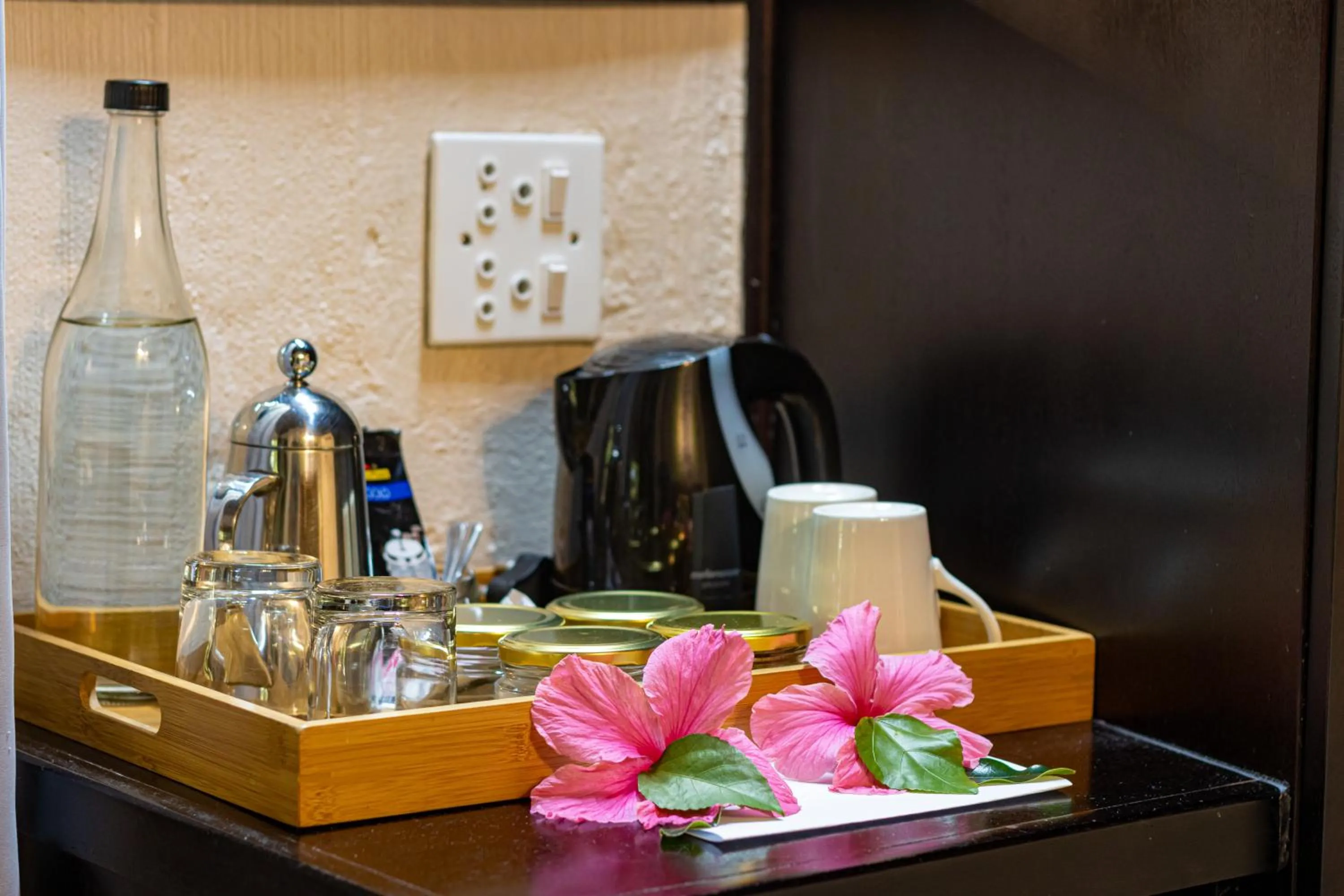 Coffee/tea facilities in Emdoneni Lodge with Zululand Cat Conservation Project