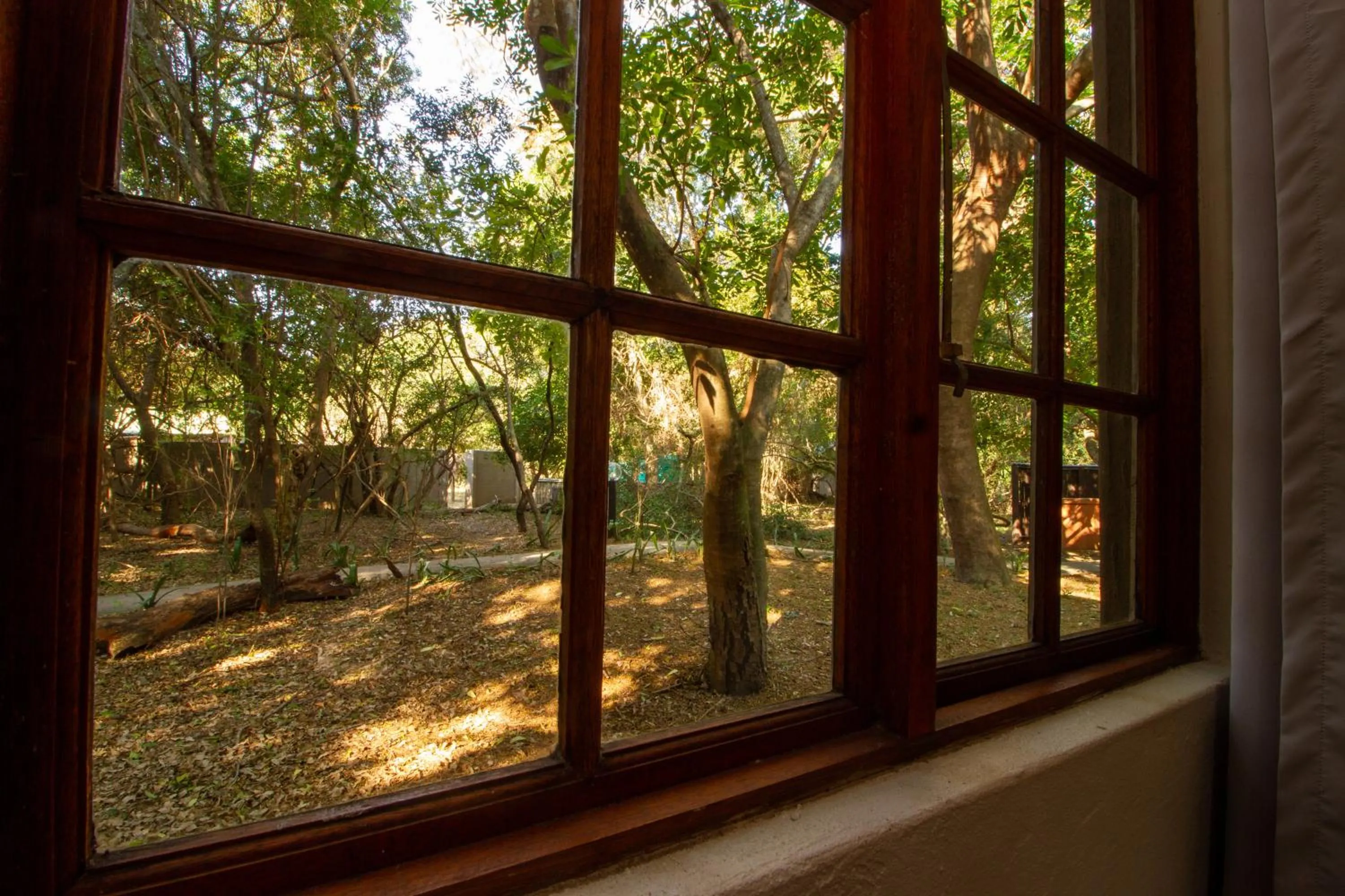 Day in Emdoneni Lodge with Zululand Cat Conservation Project