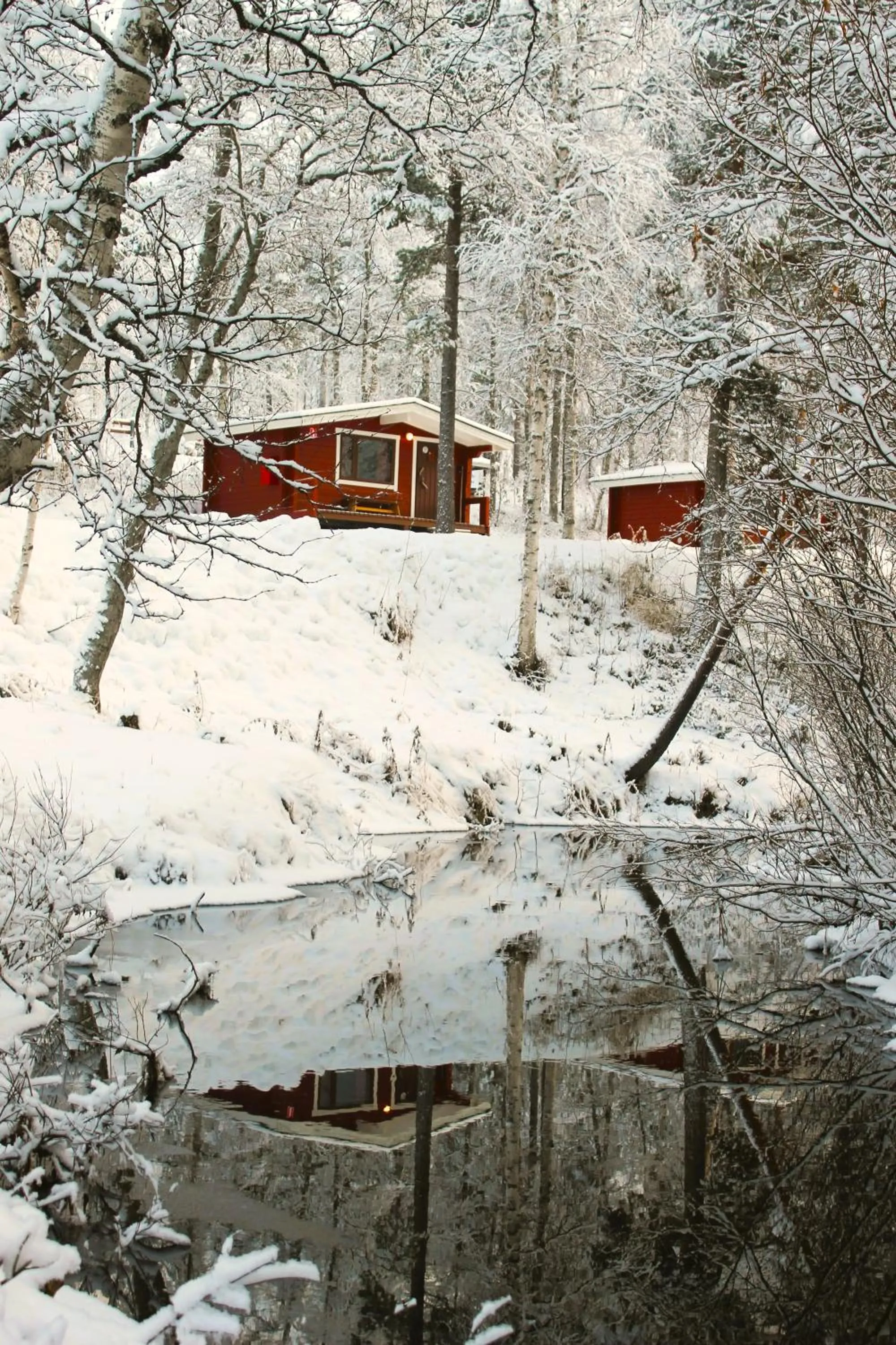 Natural landscape in Ivalo River Camping