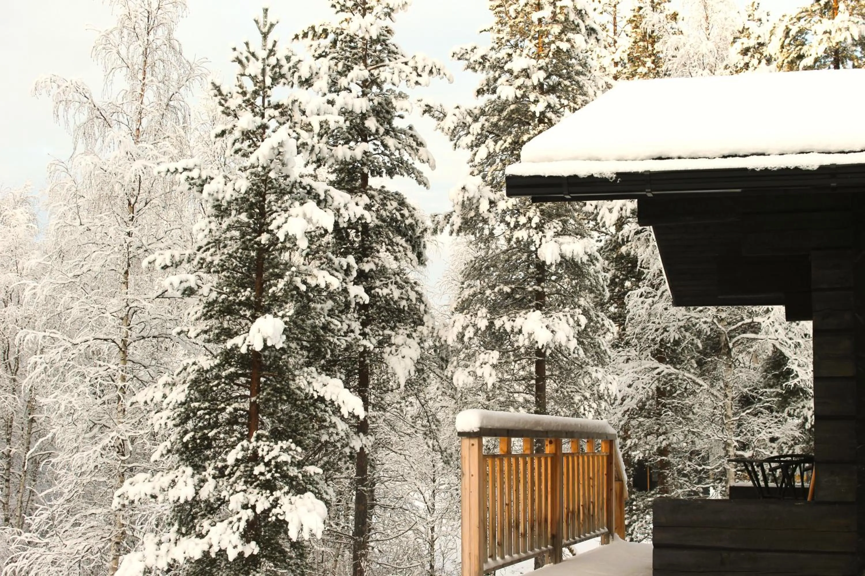 Winter in Ivalo River Camping