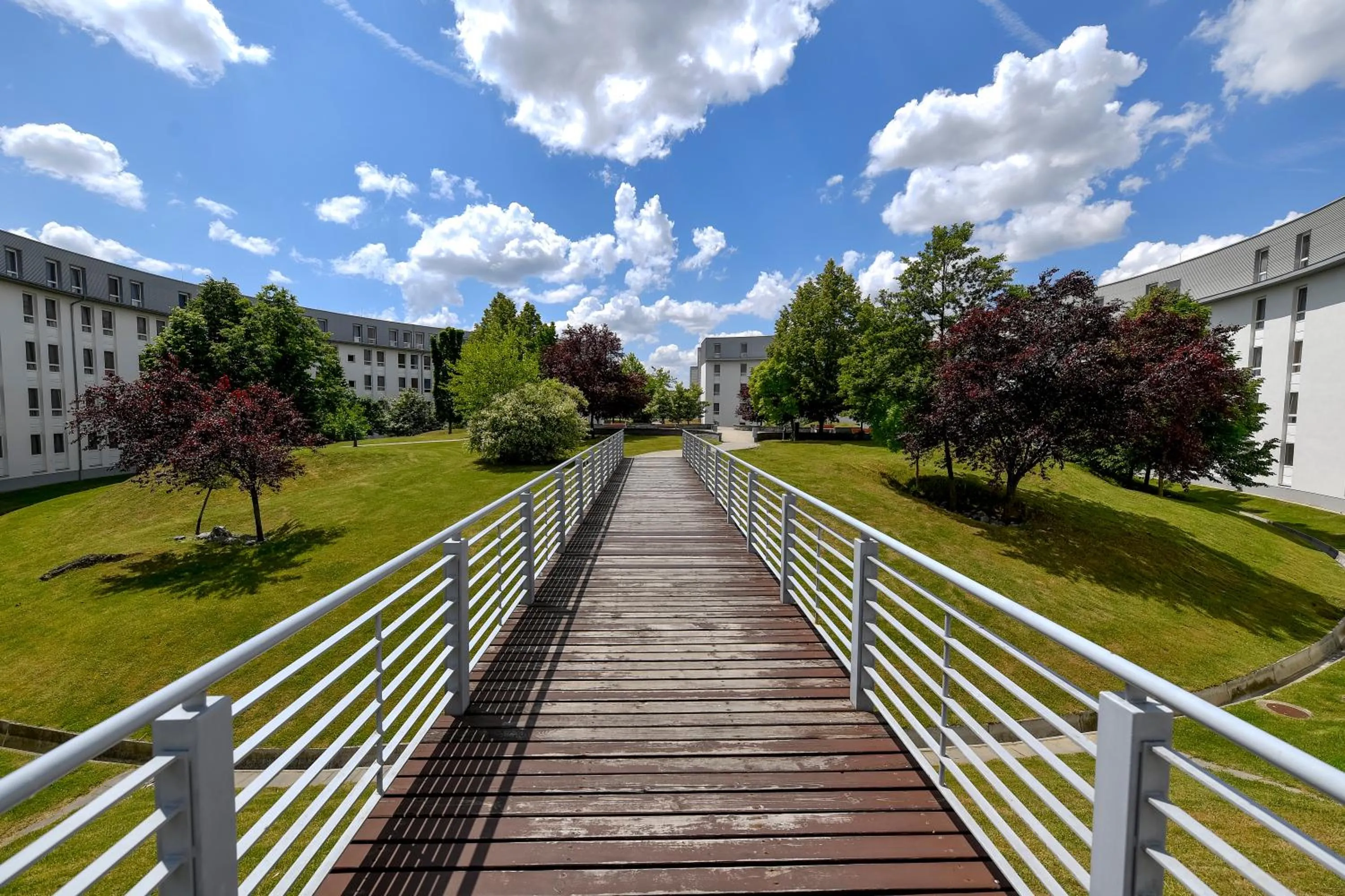 Natural landscape in Campus Hotel