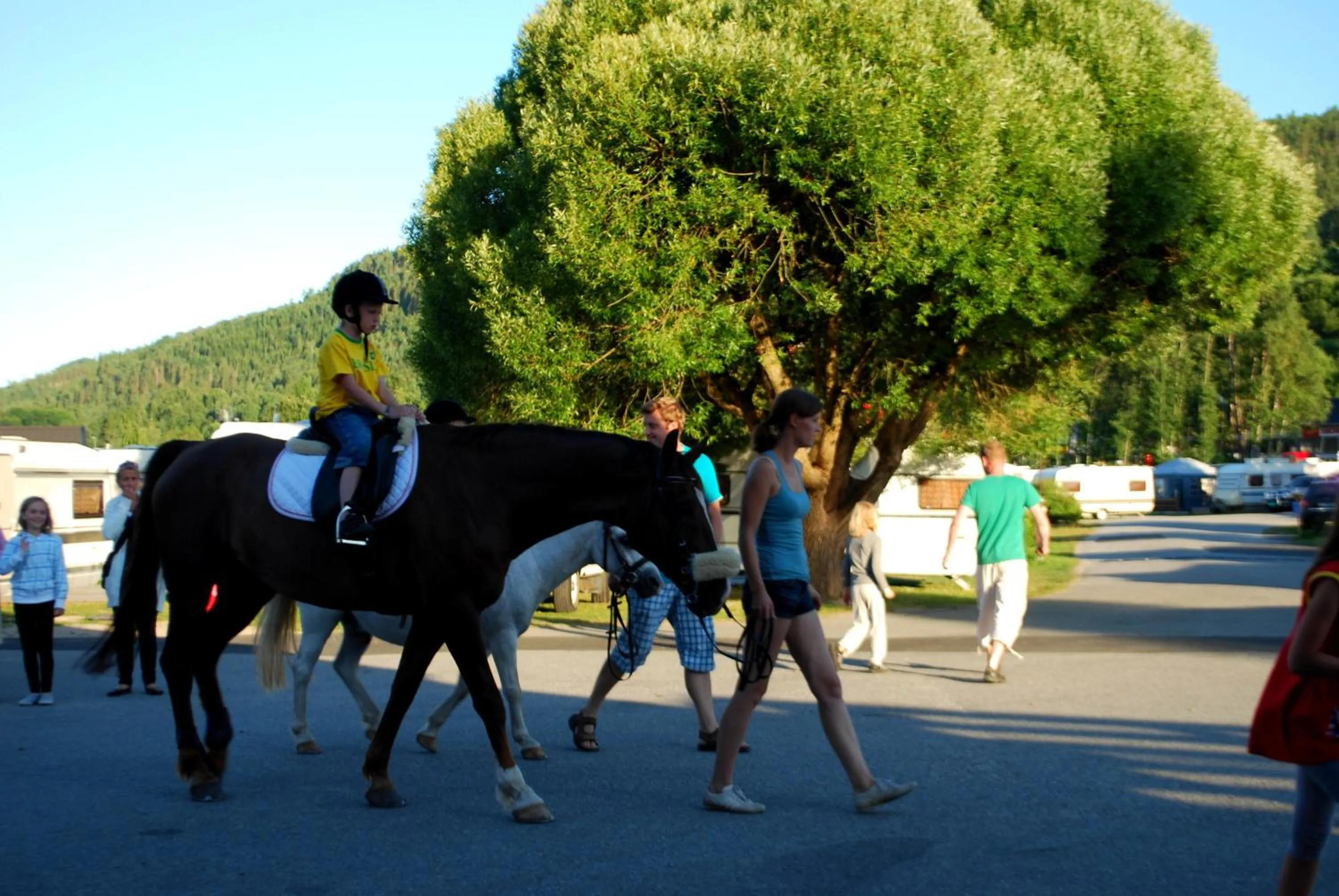 Horse-riding in Beverøya Hytteutleie og Camping