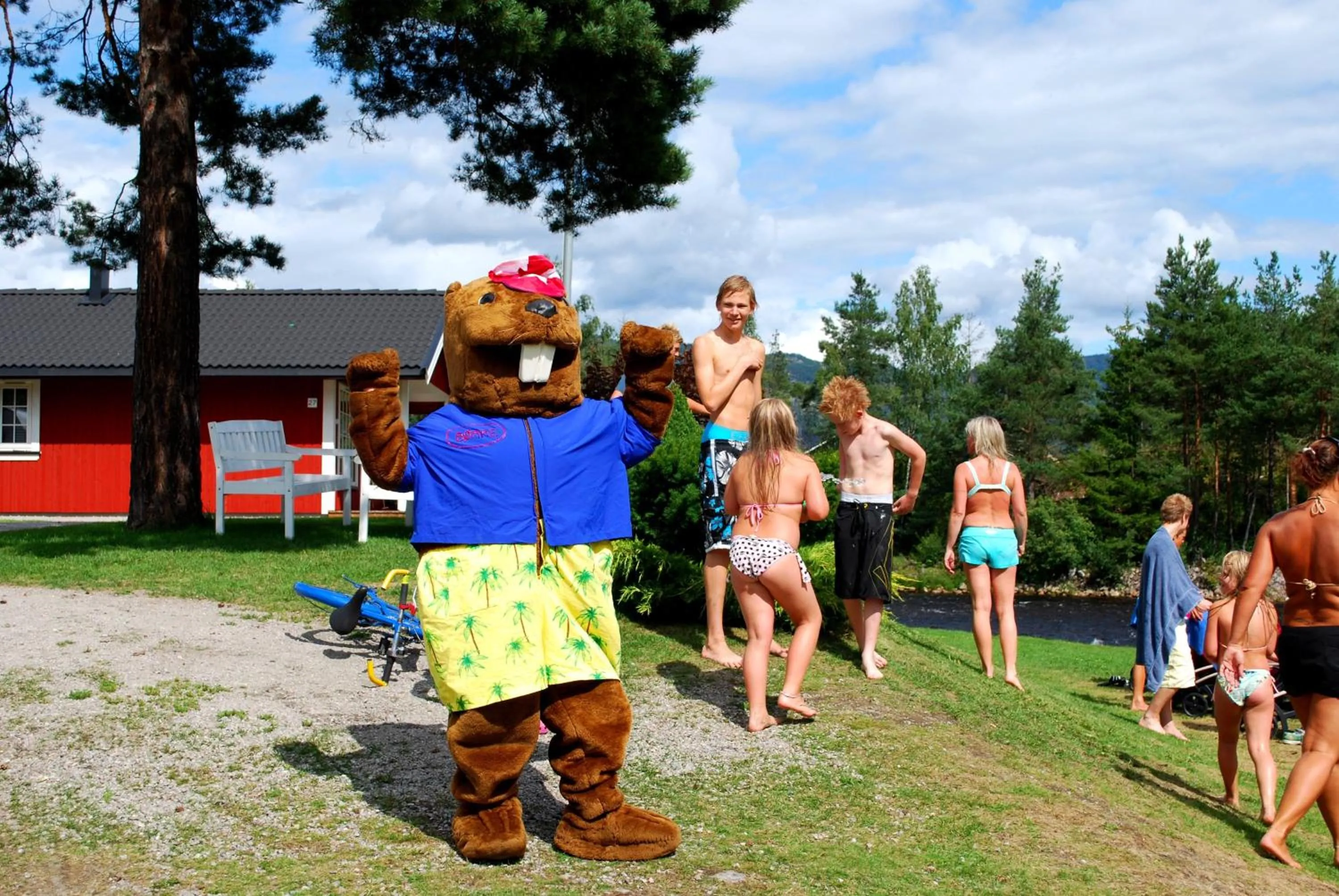 Day in Beverøya Hytteutleie og Camping