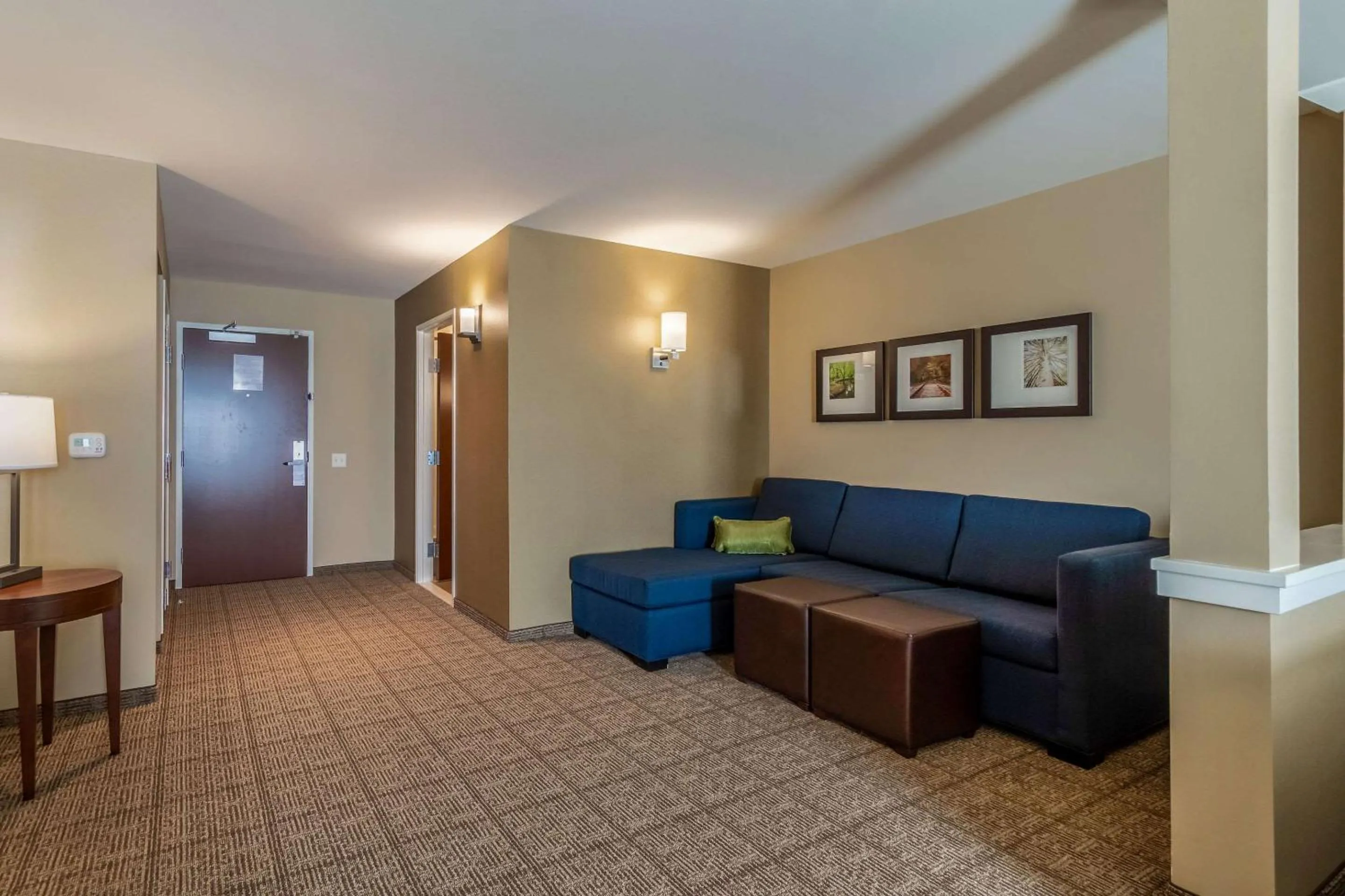 Photo of the whole room in Comfort Inn & Suites - Harrisburg Airport - Hershey South