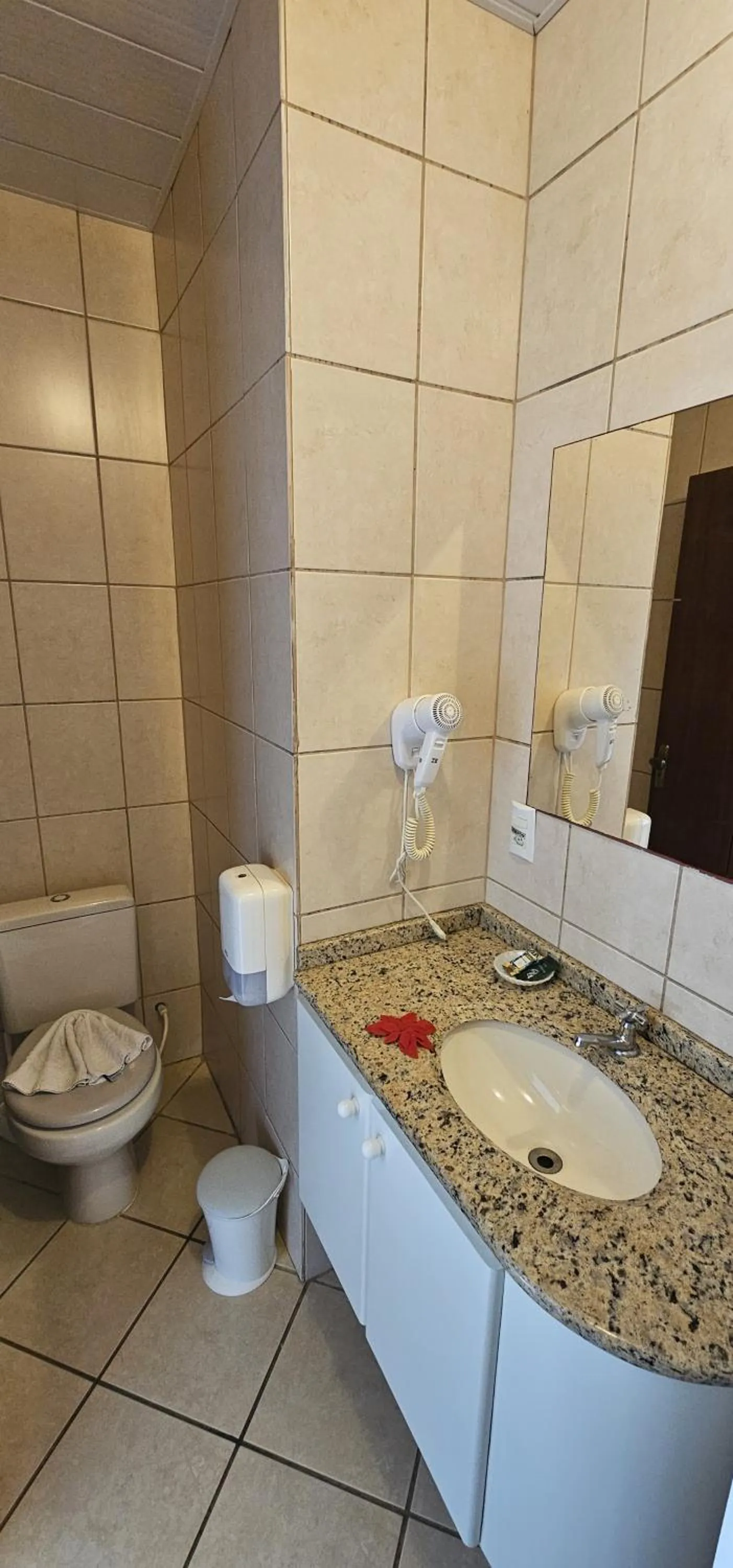 Toilet in GH Bizkaia