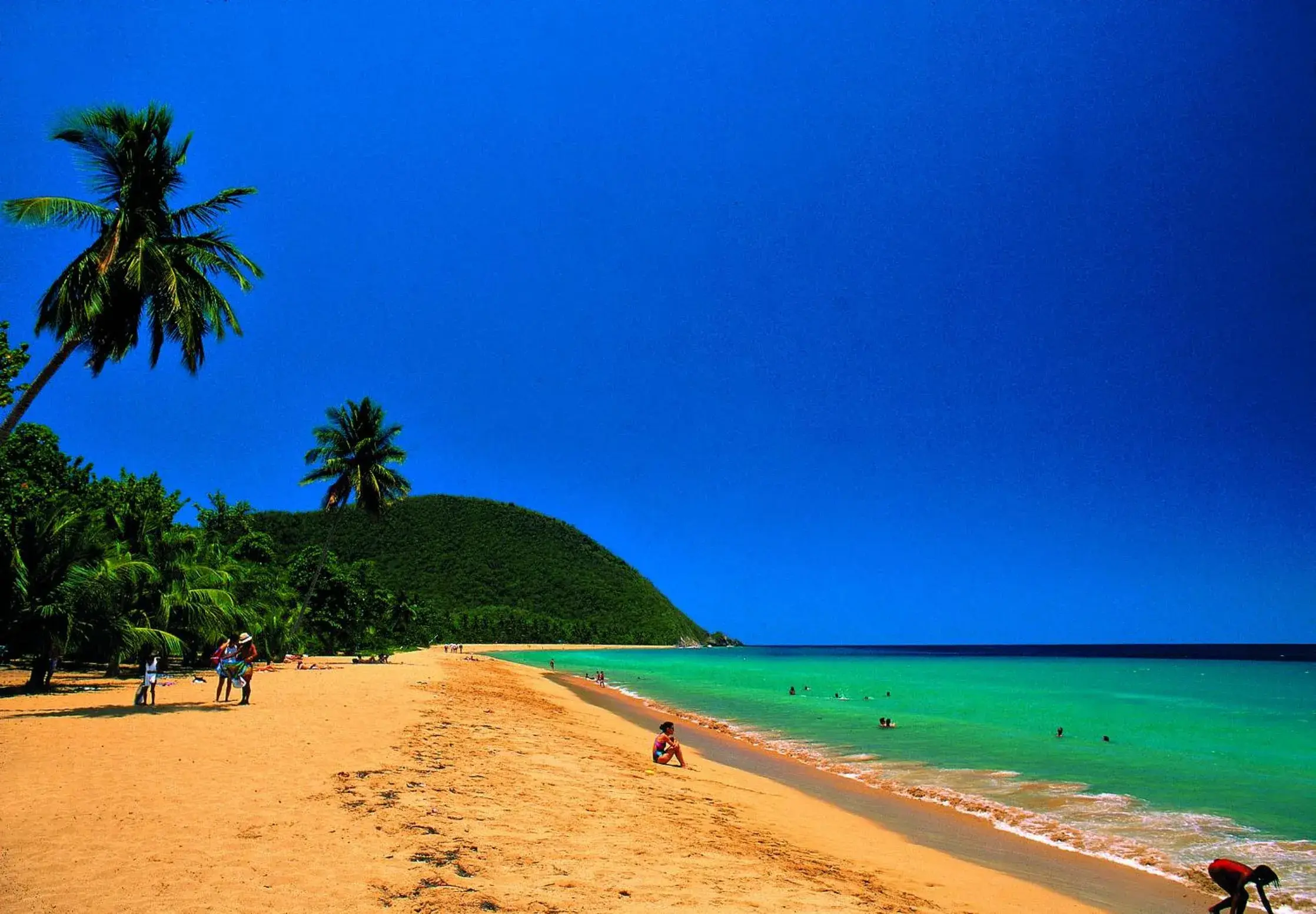 View (from property/room) in Habitation Grande Anse Résidence hôtelière View (from property/room) in Habitation Grande Anse Résidence hôtelière