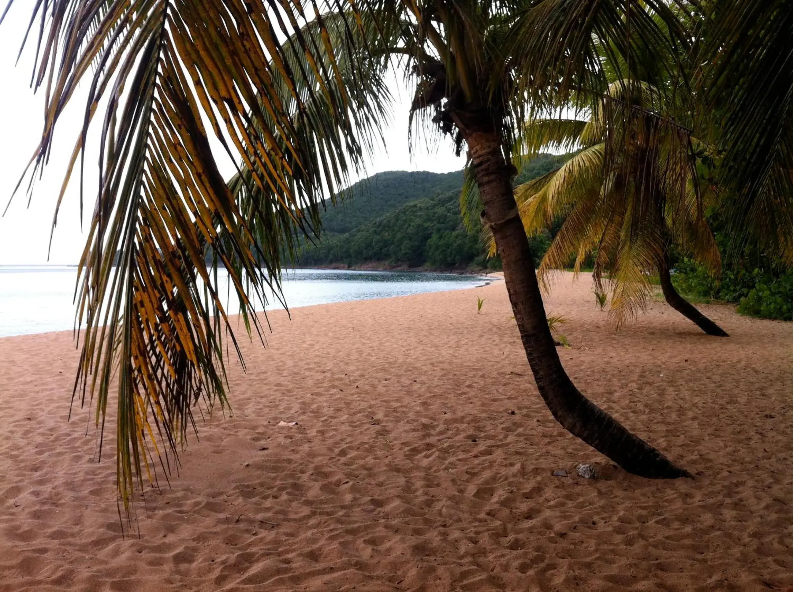View (from property/room) in Habitation Grande Anse Résidence hôtelière View (from property/room) in Habitation Grande Anse Résidence hôtelière