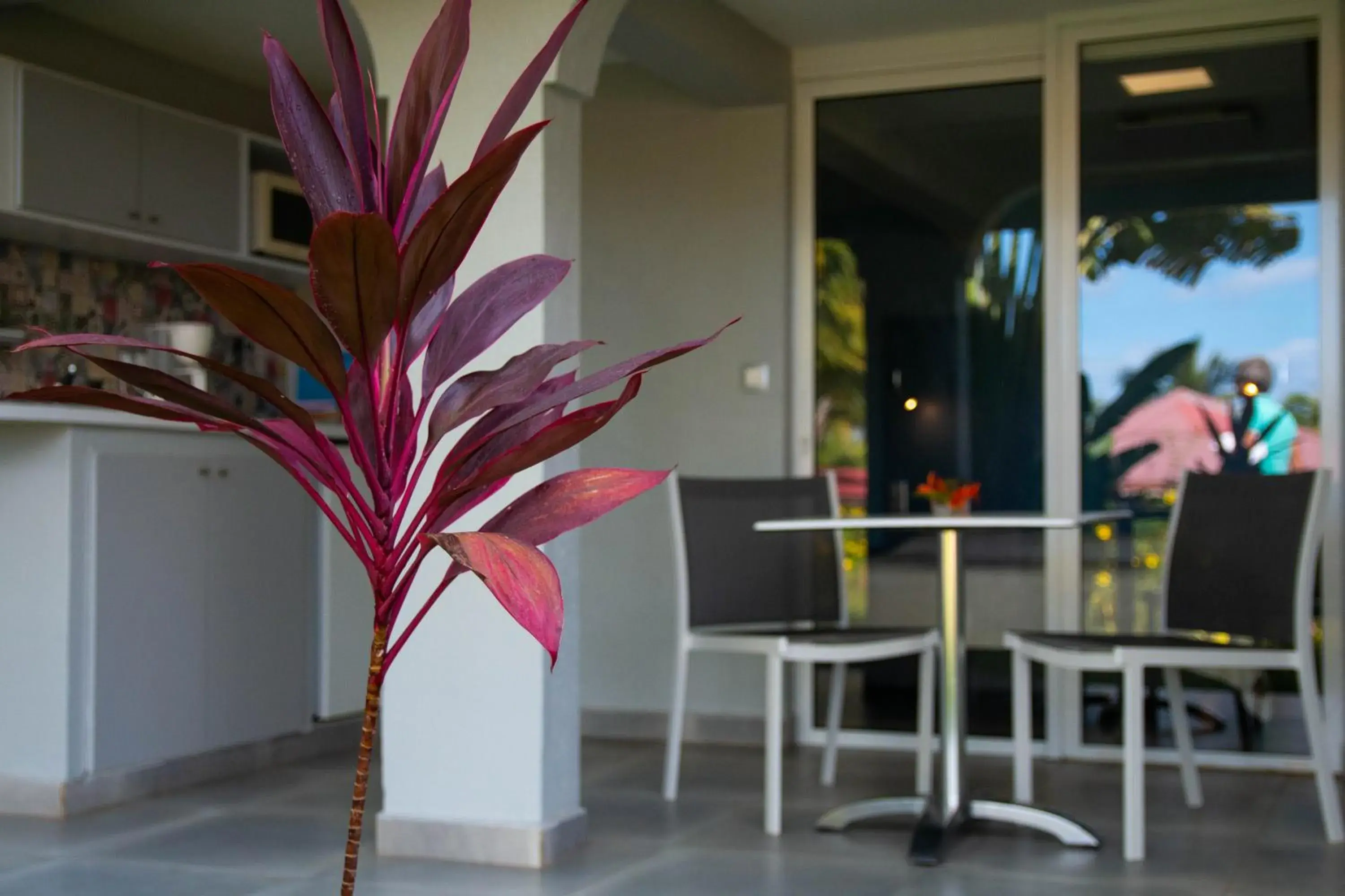 Standard Studio in Résidence hotelière Habitation Grande Anse Standard Studio in Résidence hotelière Habitation Grande Anse