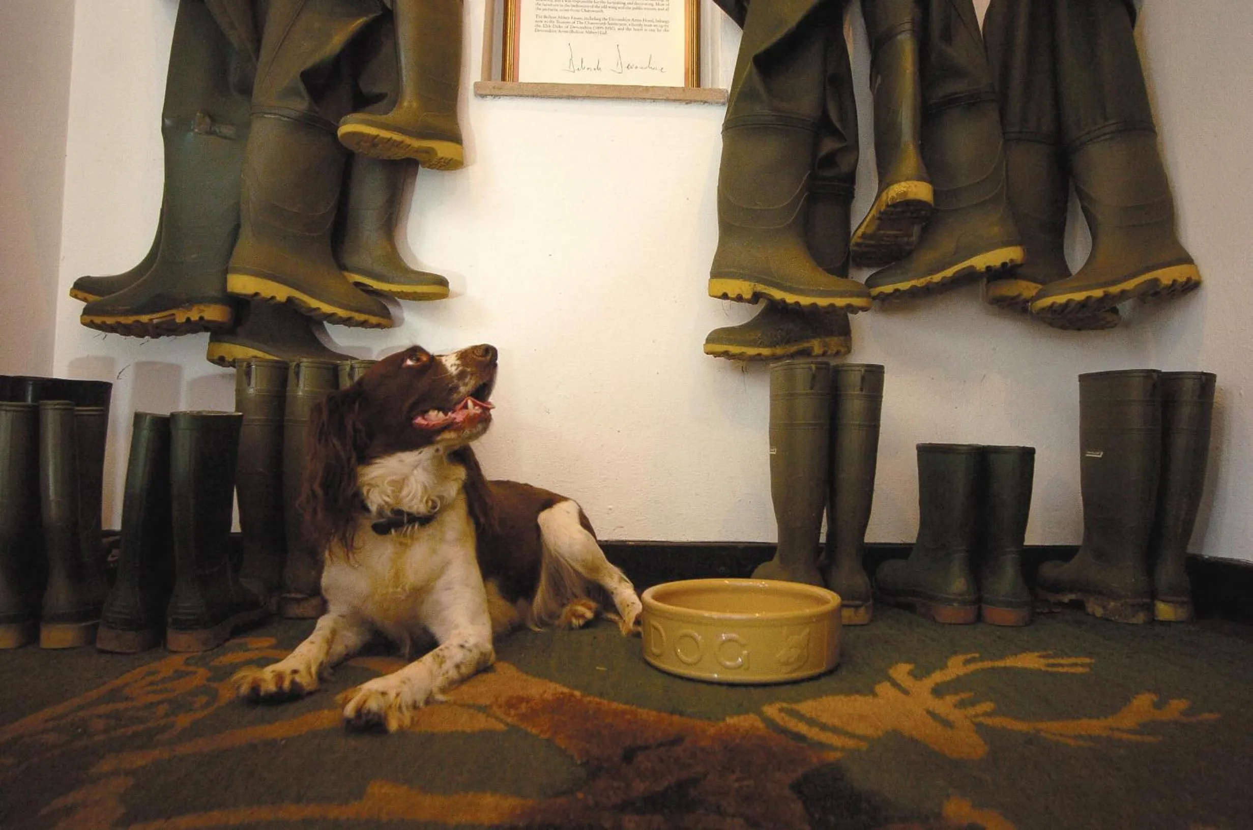 Pets in The Devonshire Arms Hotel at Bolton Abbey