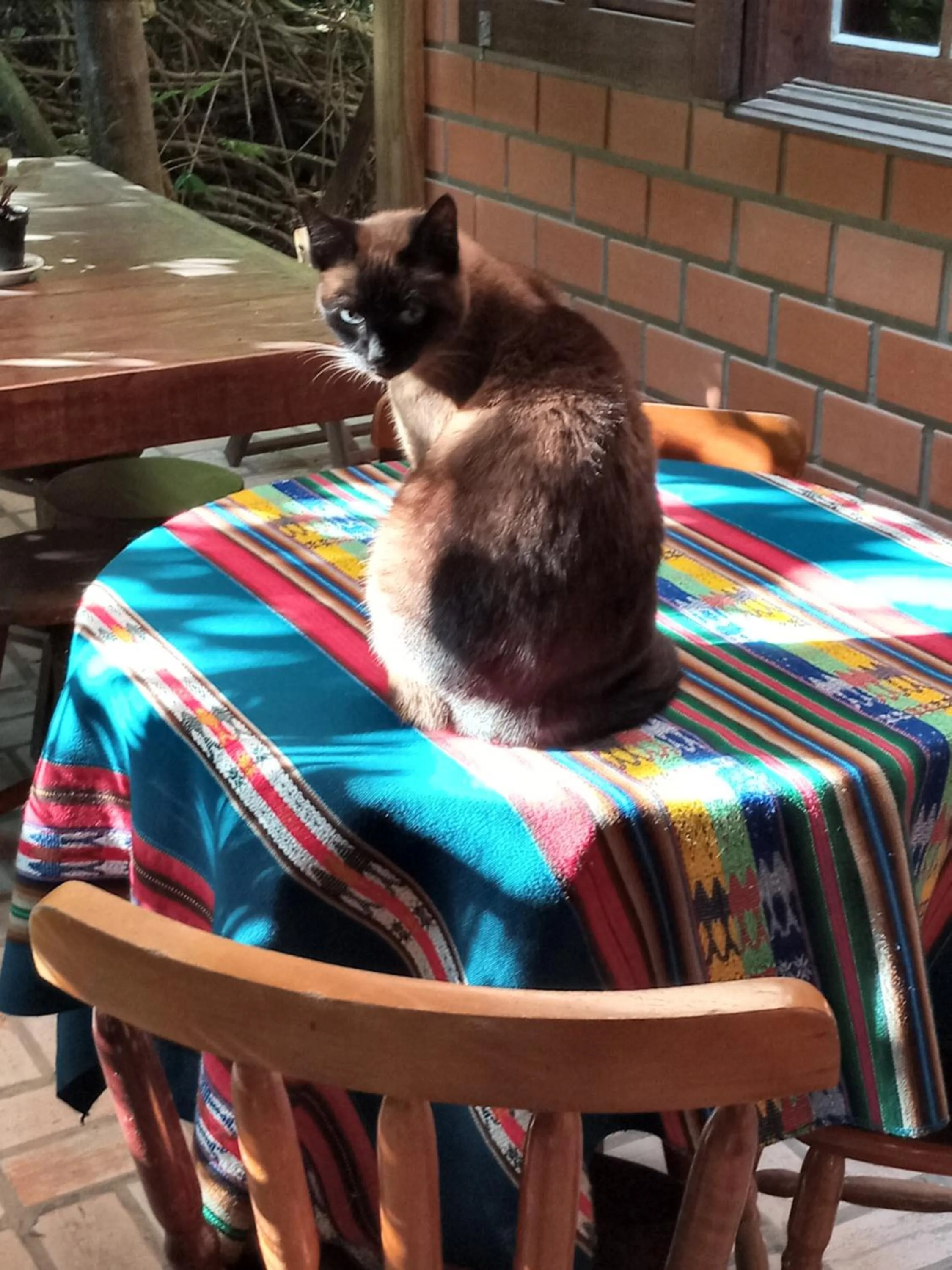 Other in Pousada Rosa & Canela