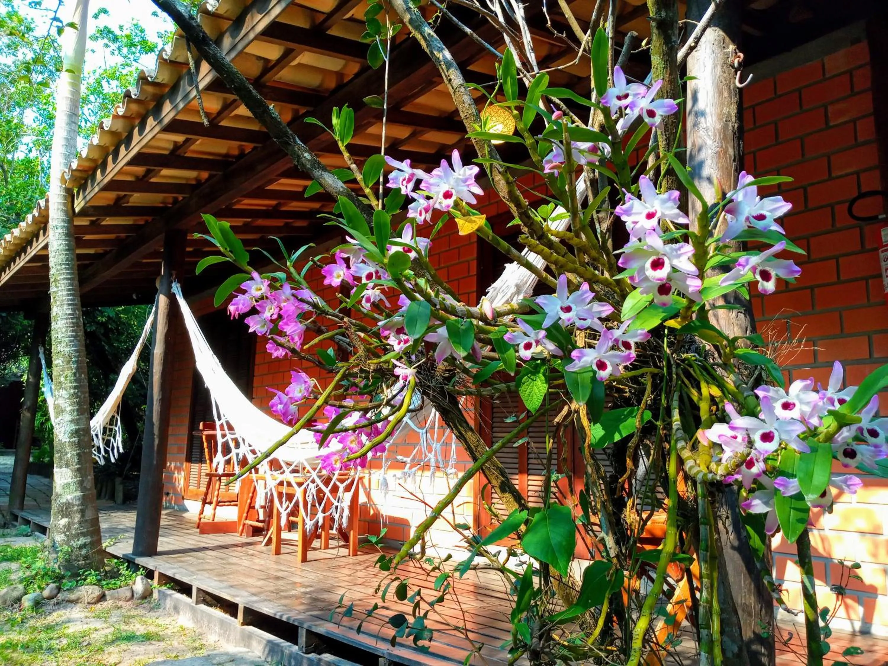 Property building in Pousada Rosa & Canela