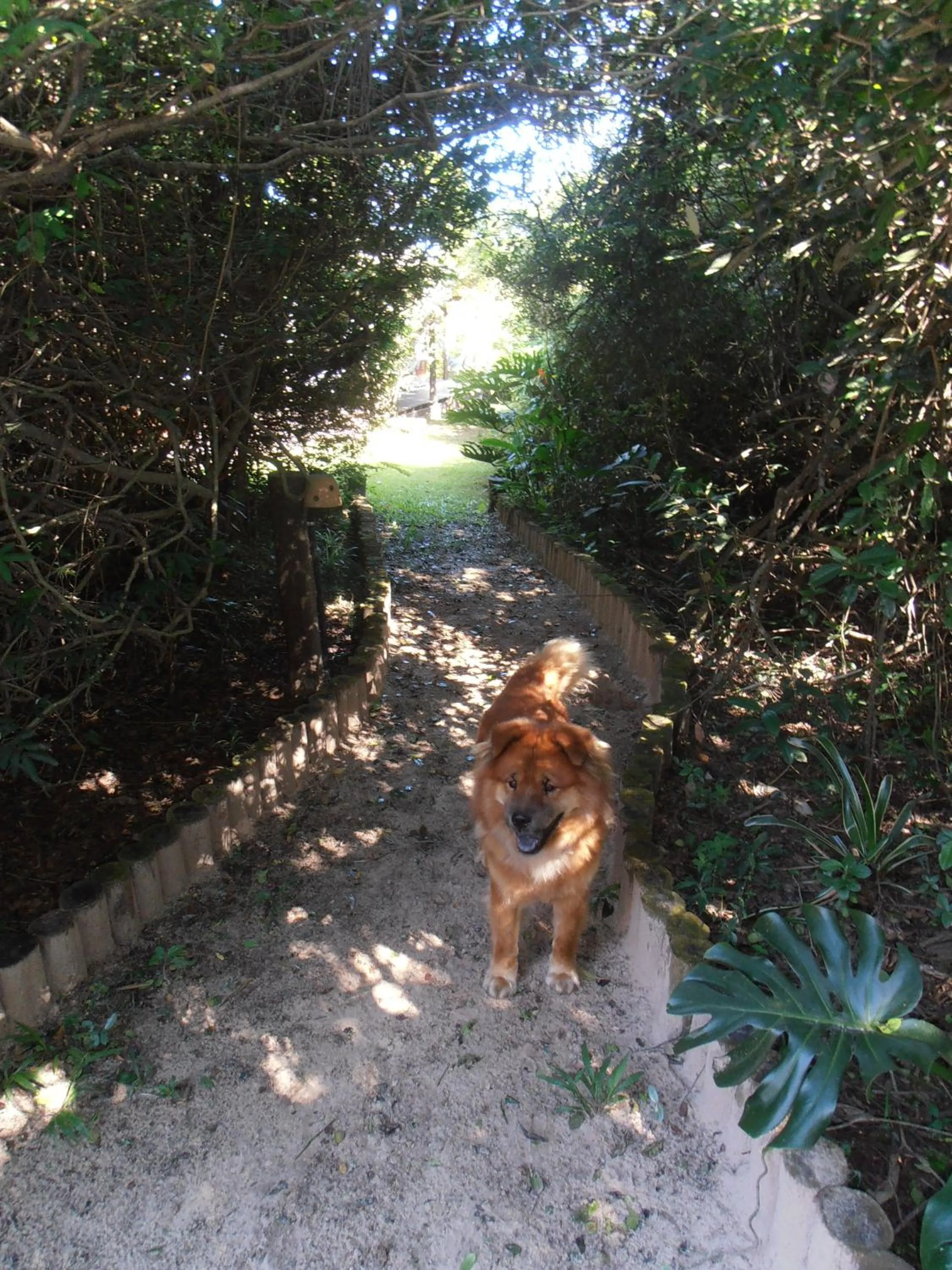 Day in Pousada Rosa & Canela