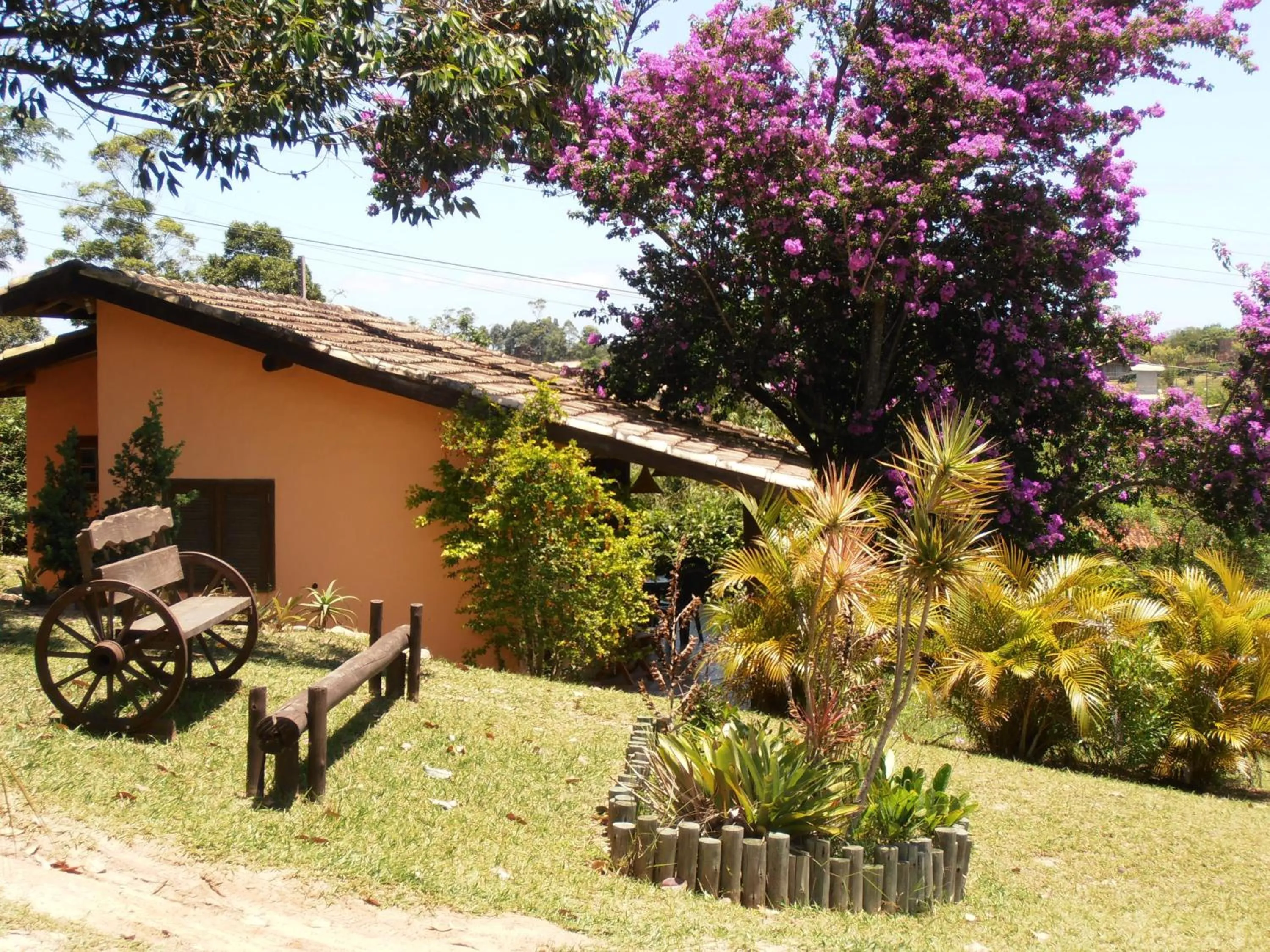Garden in Pousada Rosa & Canela