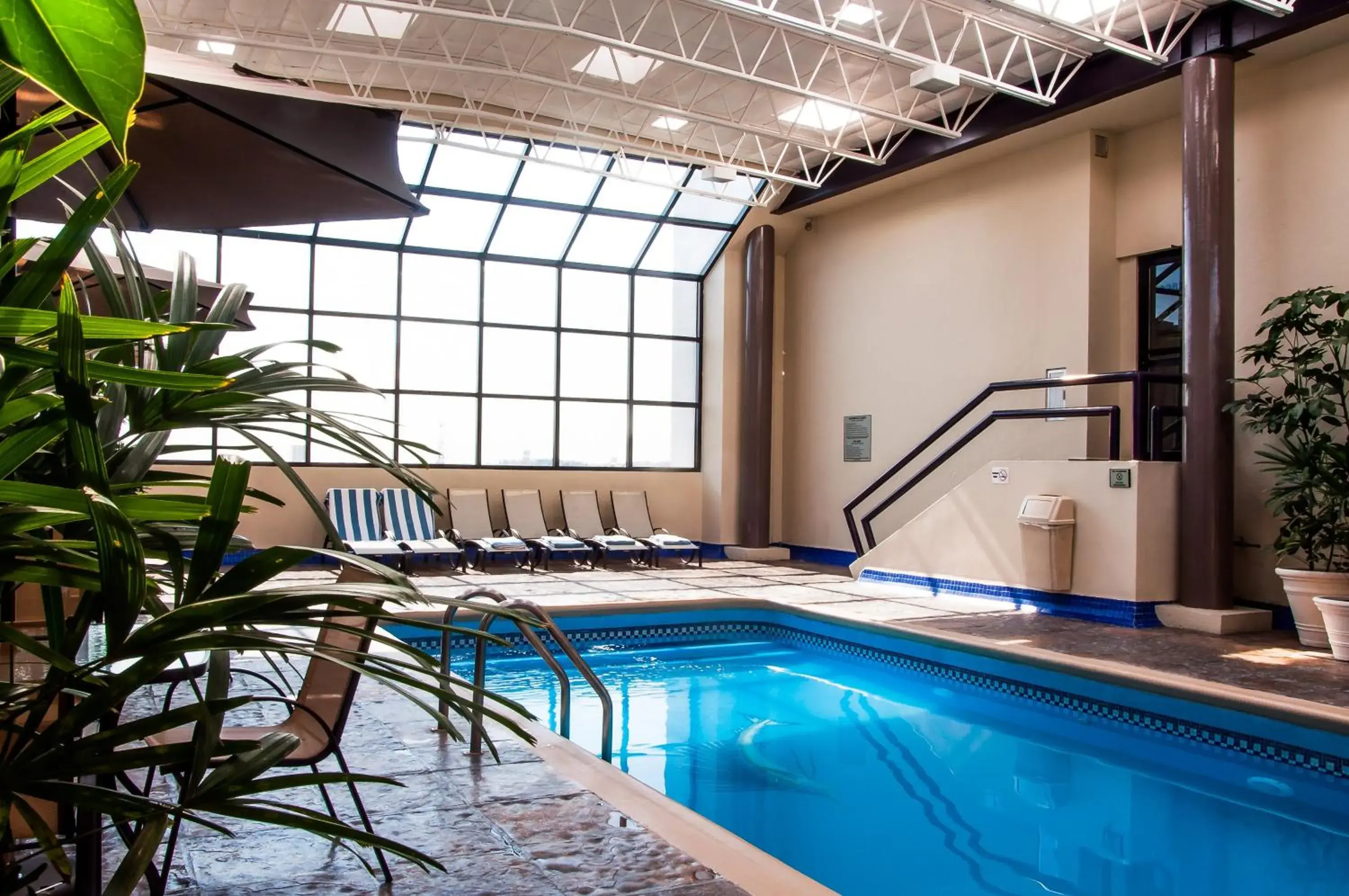 Swimming pool in Everest Ciudad Victoria Swimming pool in Everest Ciudad Victoria