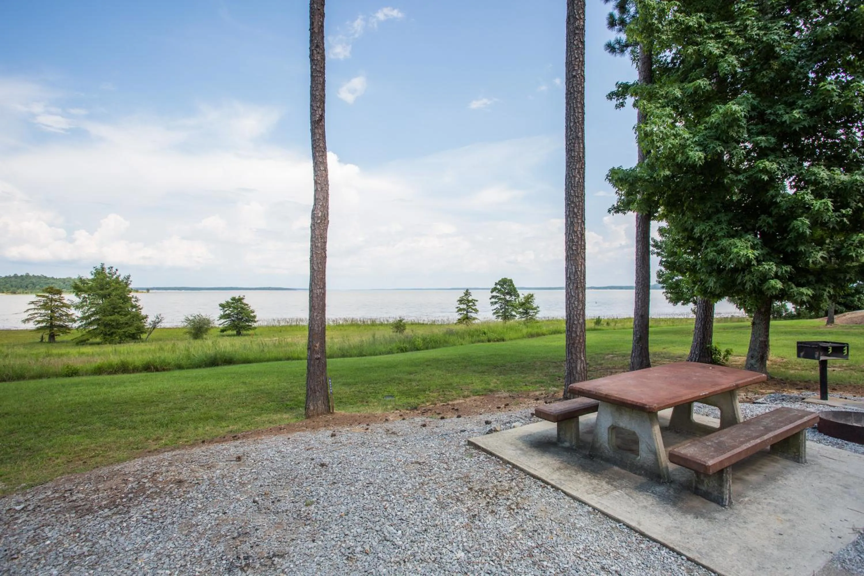 Animals in Knights Inn Grenada