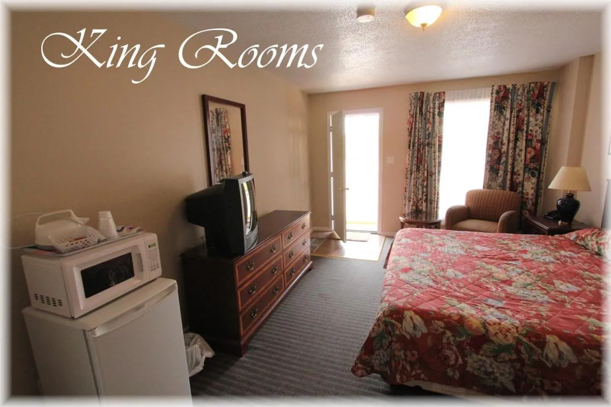 Day, Bed in Lotus Motel