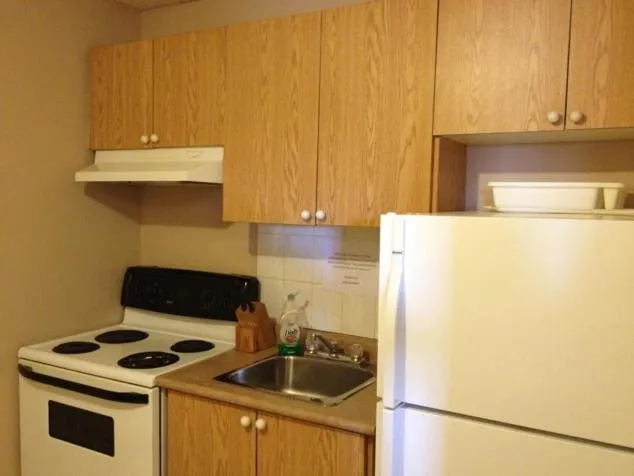 Kitchen or kitchenette in Lotus Motel