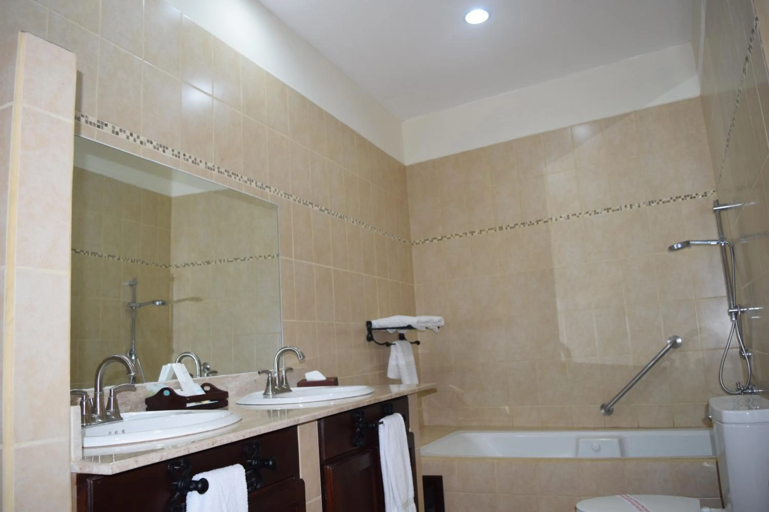 Toilet in Hotel Dario Granada