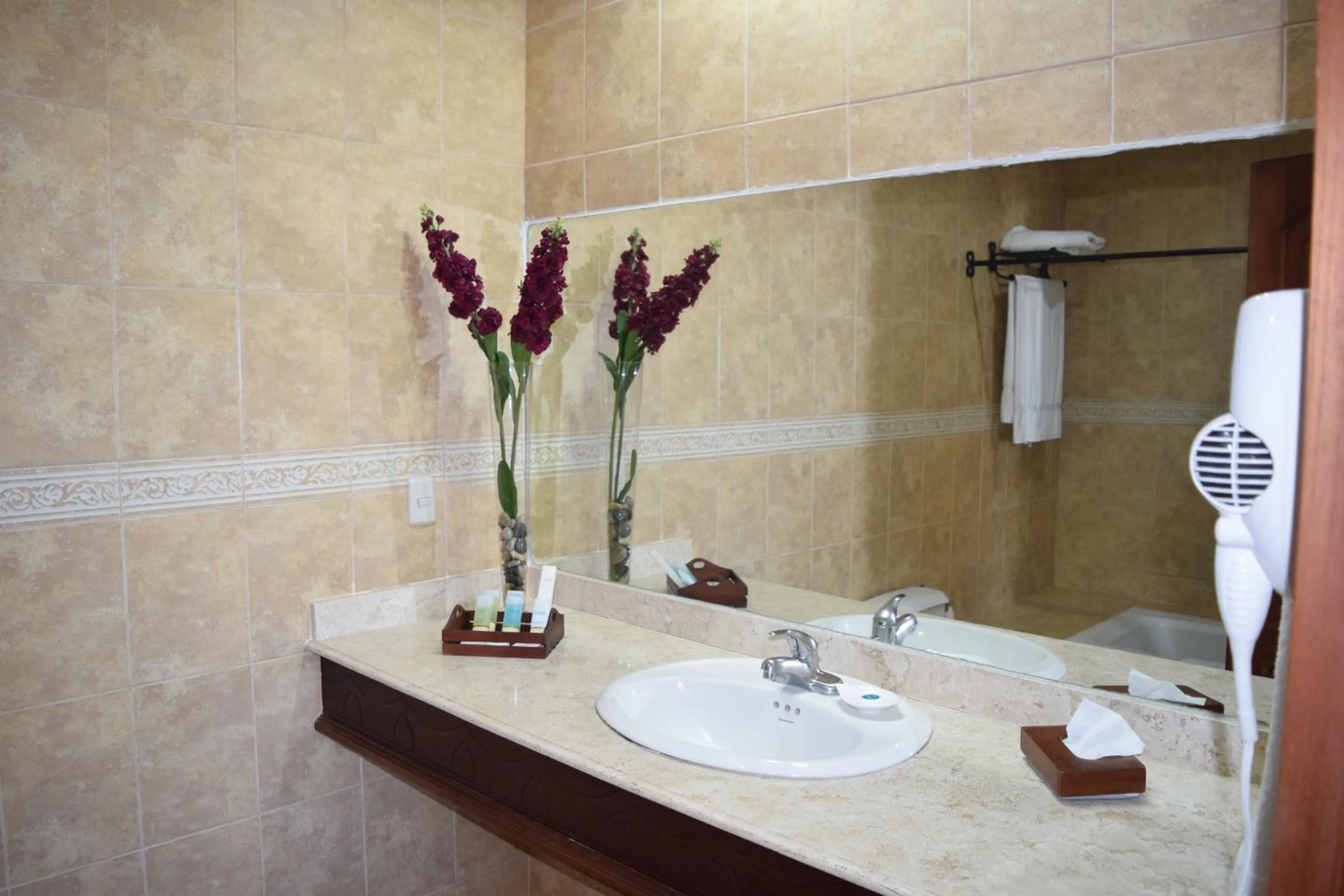 Bathroom in Hotel Dario Granada