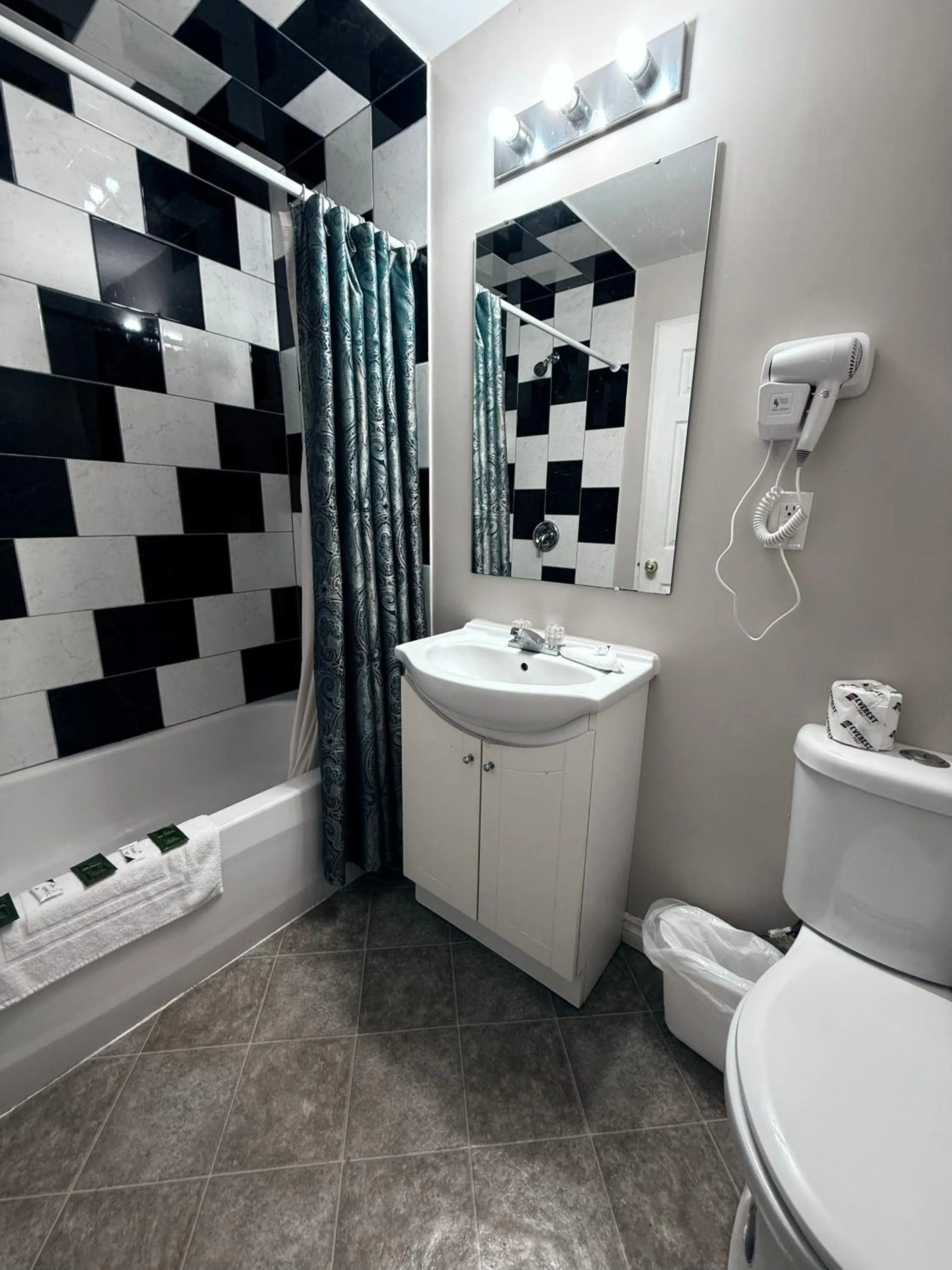 Toilet in Guest Inn Motel