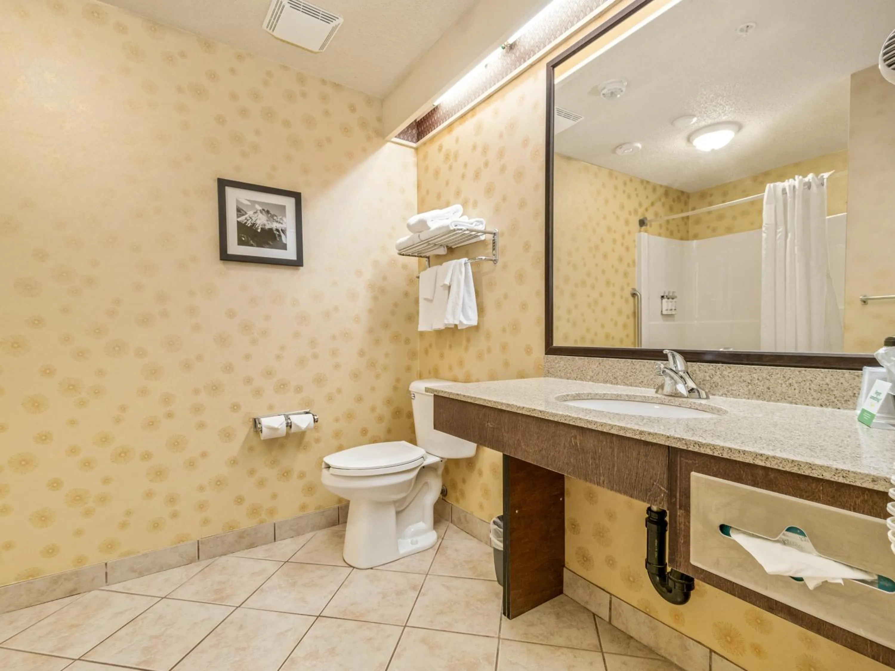 Bathroom in Holiday Inn Lethbridge by IHG
