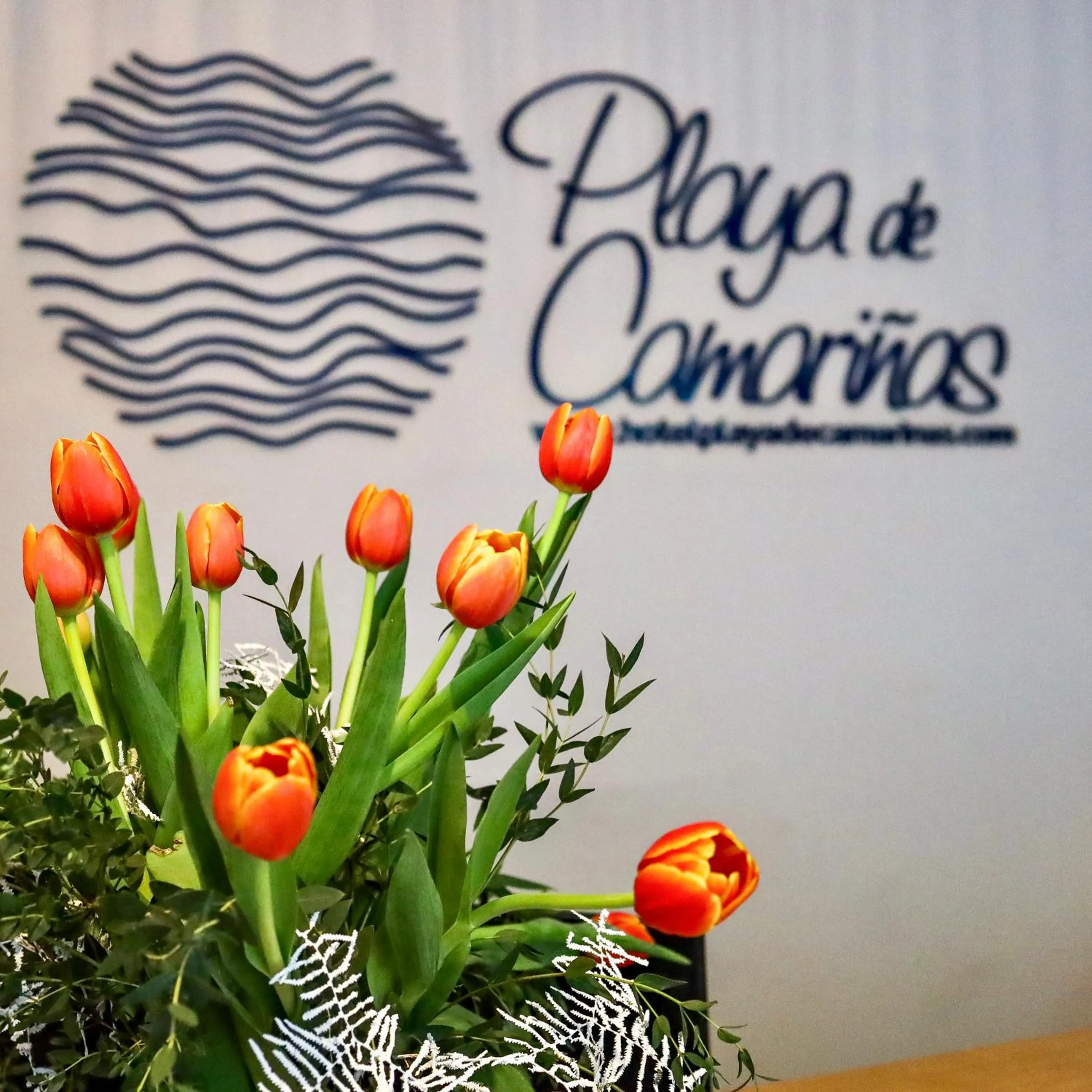 Property logo or sign in Playa de Camariñas