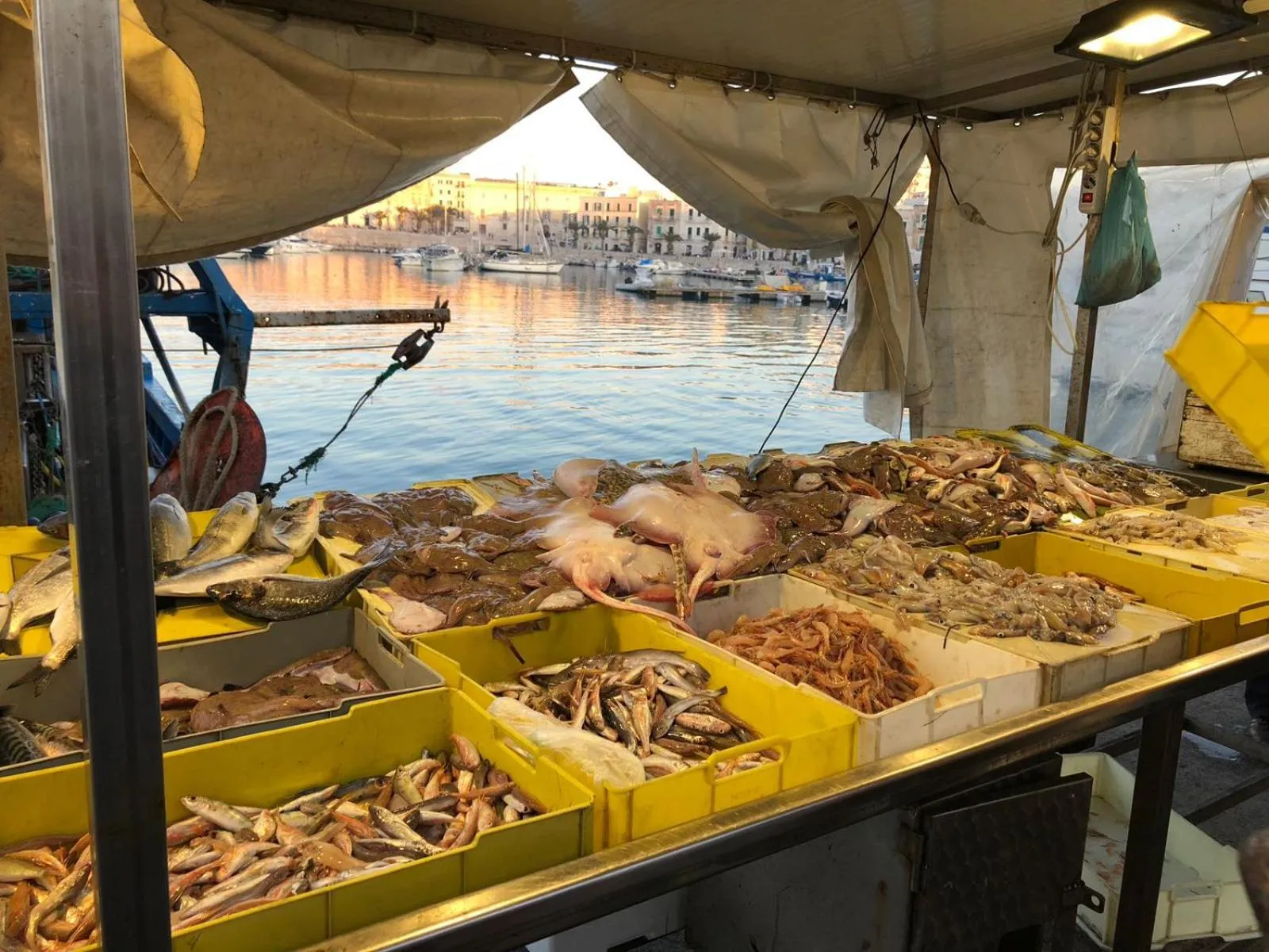 Area and facilities in Le Marinelle Aff Trani