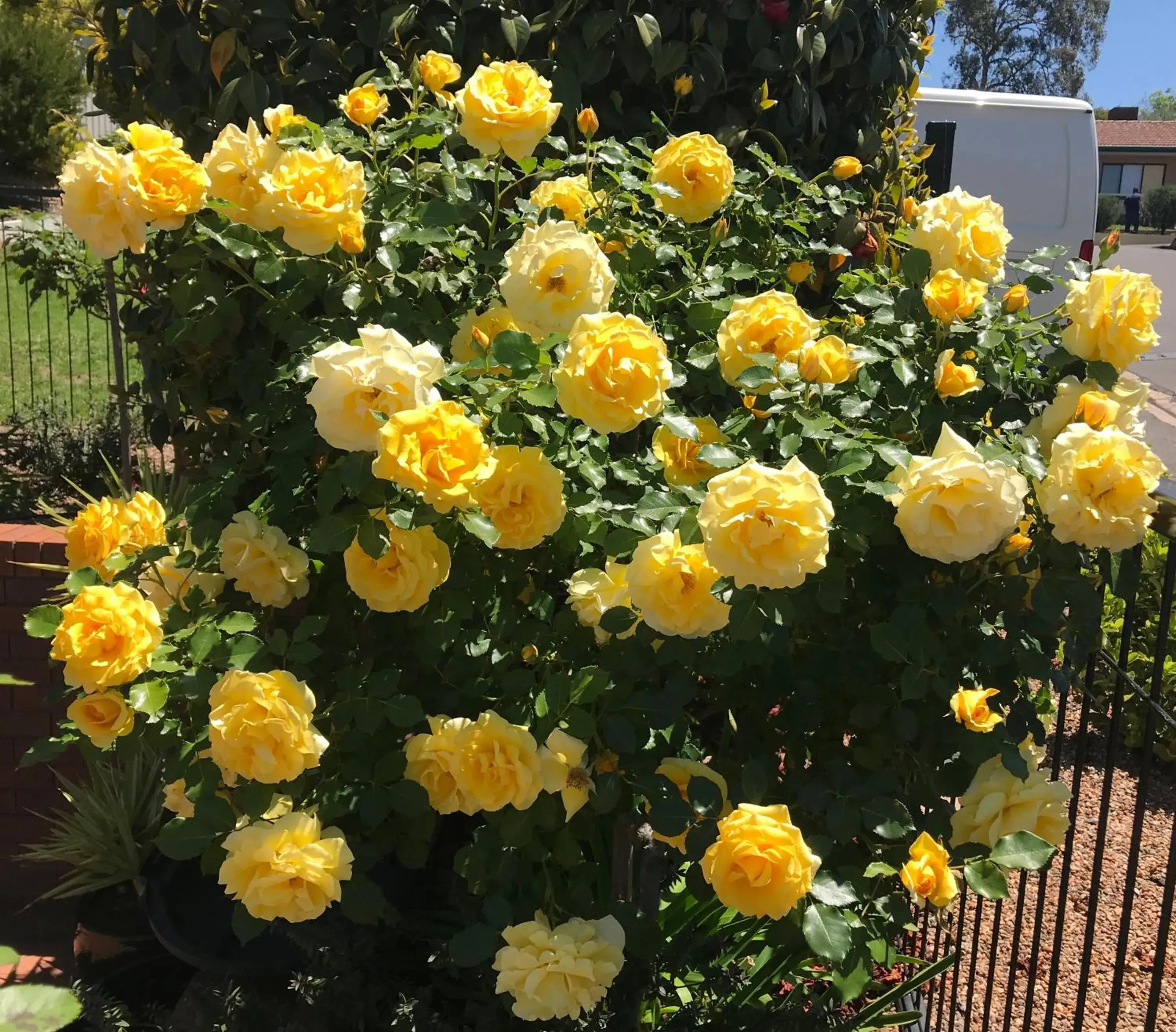 Property building in Hideaway Motor Inn Property building in Hideaway Motor Inn