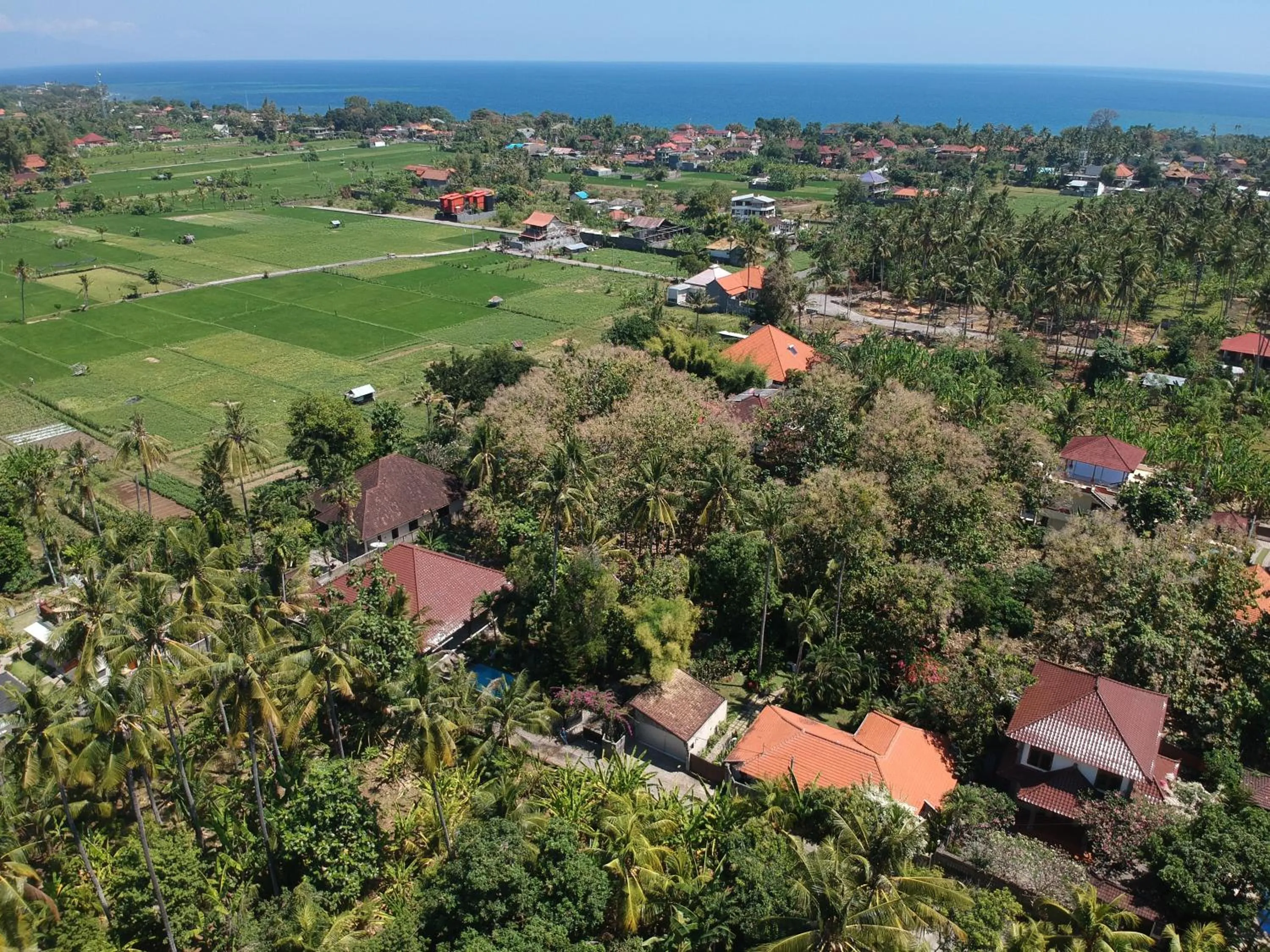 Neighbourhood in Villa Kelapa