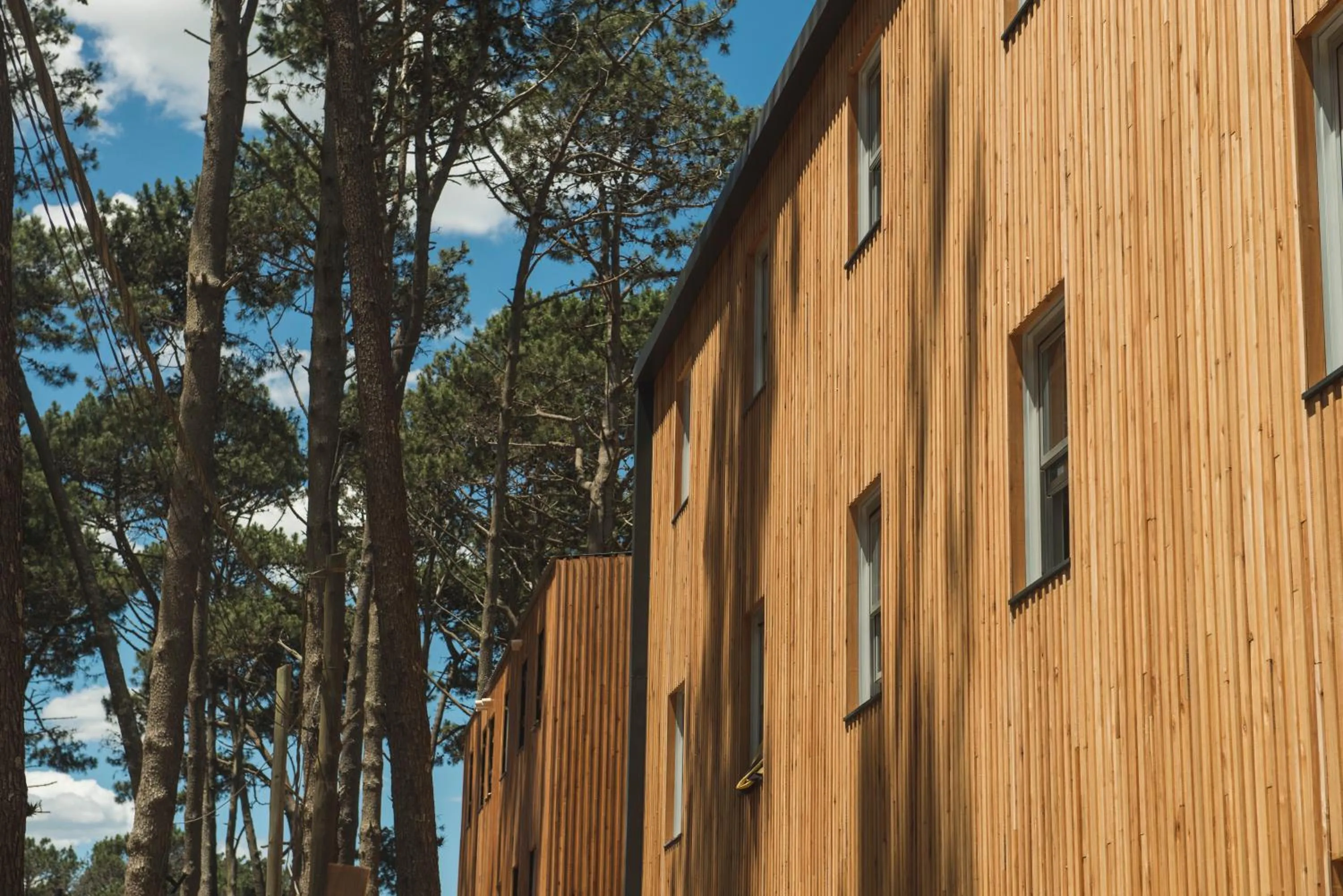 Wanderlust José Ignacio