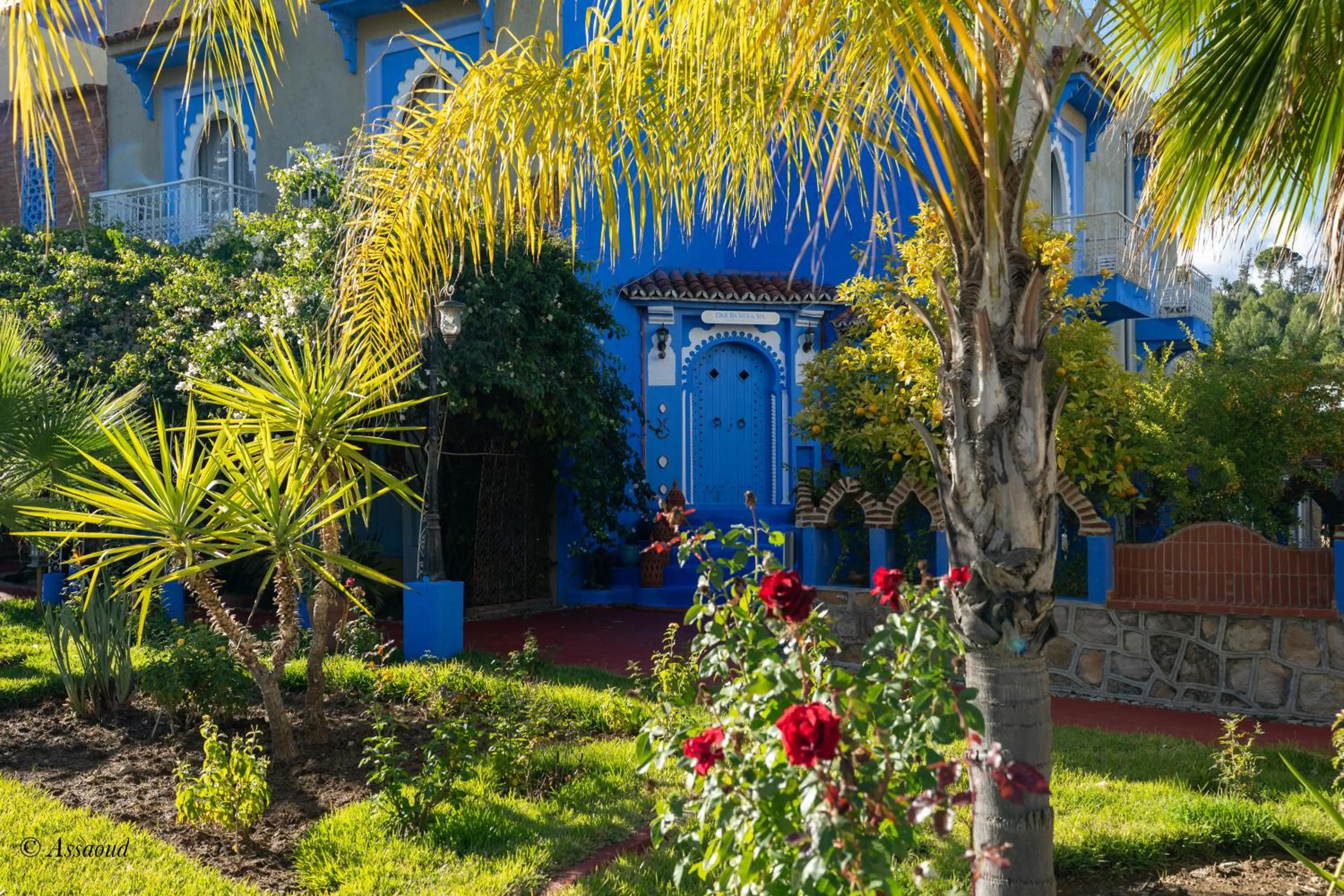 Garden in Dar Ba Sidi & Spa