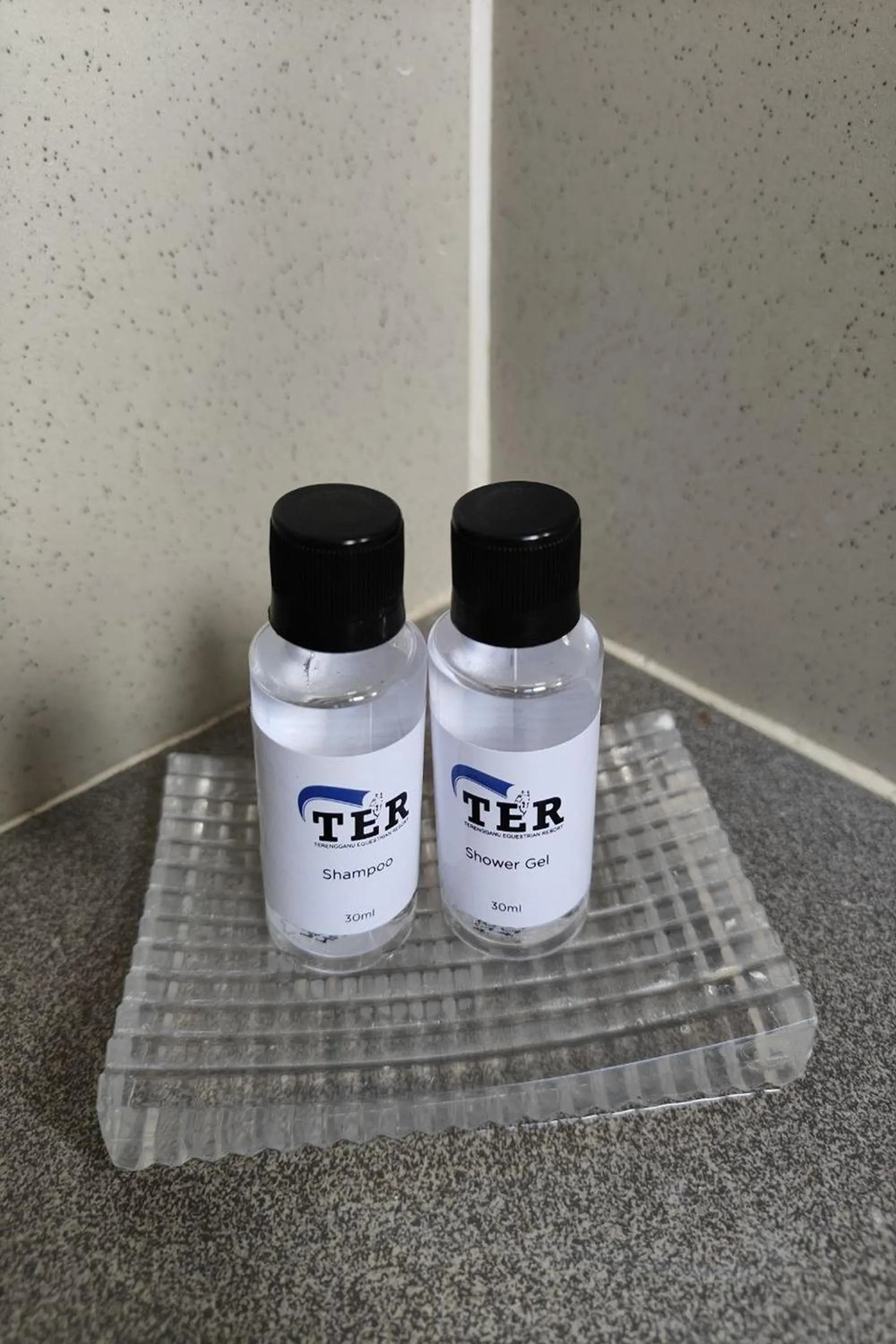 Decorative detail in Terengganu Equestrian Resort