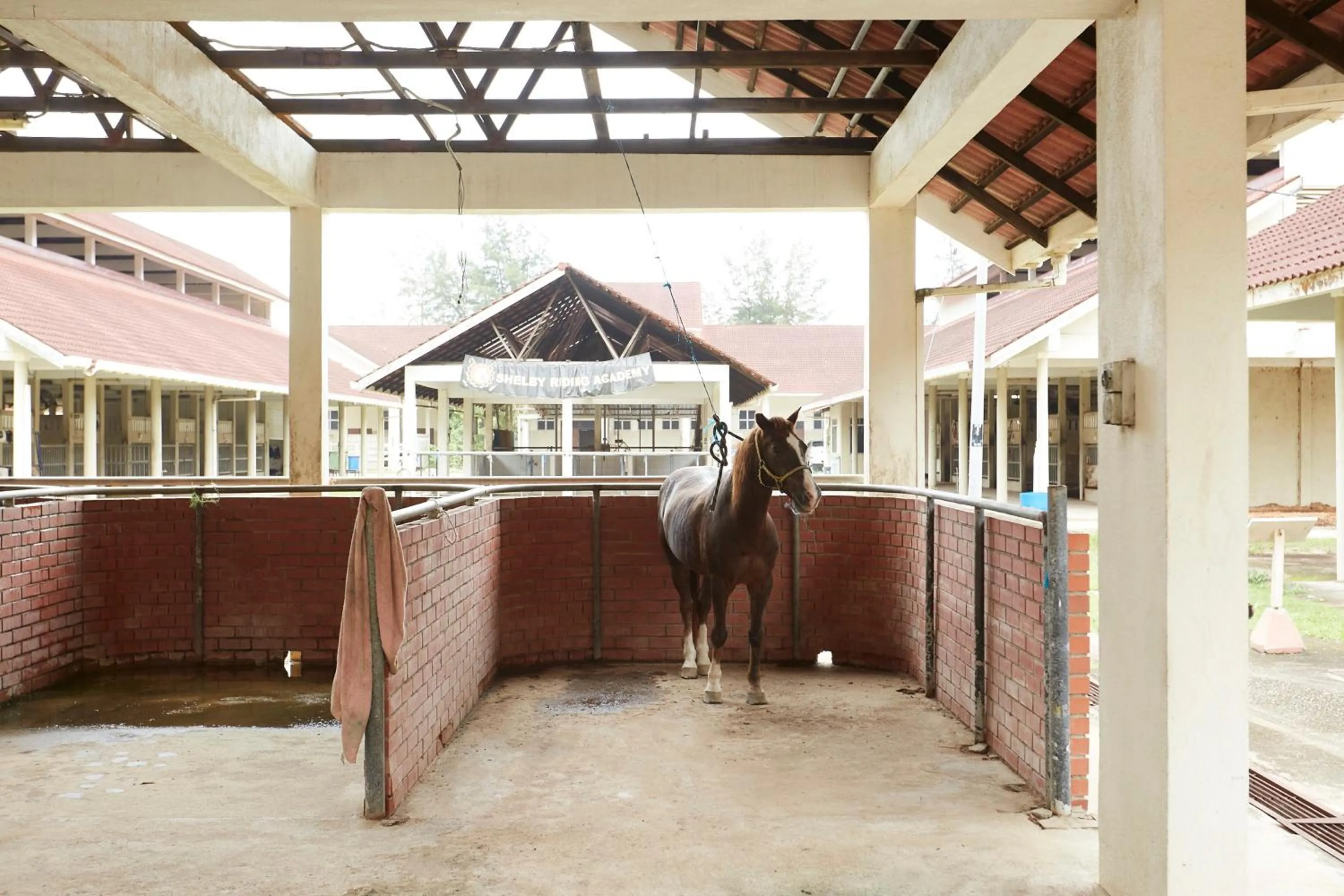 Horse-riding in Terengganu Equestrian Resort