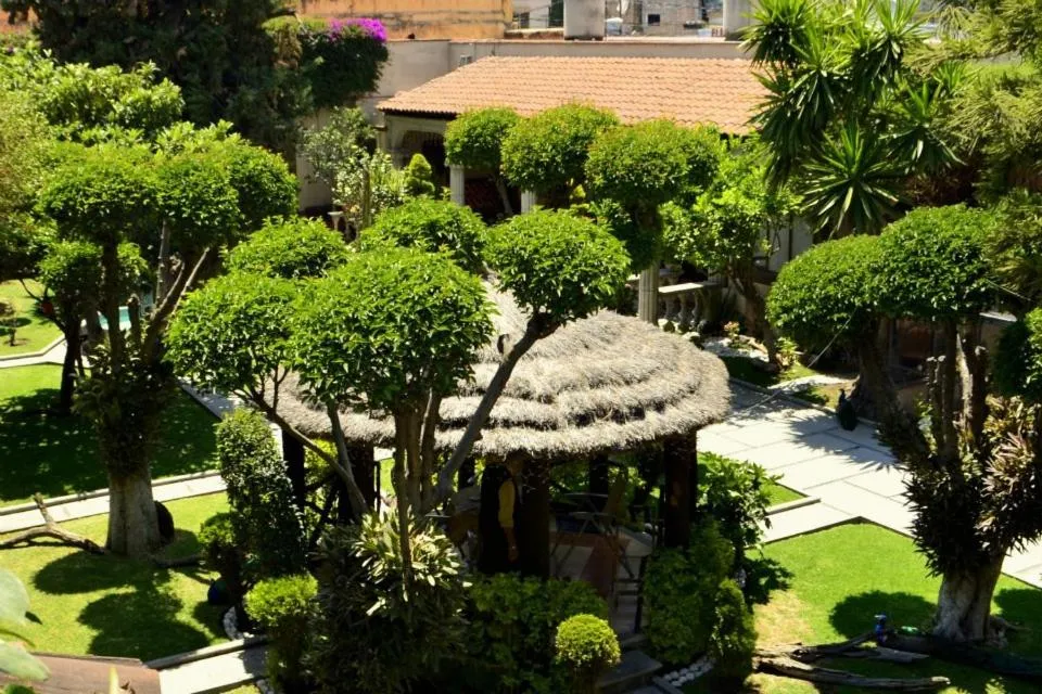 Bird's eye view in Hotel Boutique La Albertina