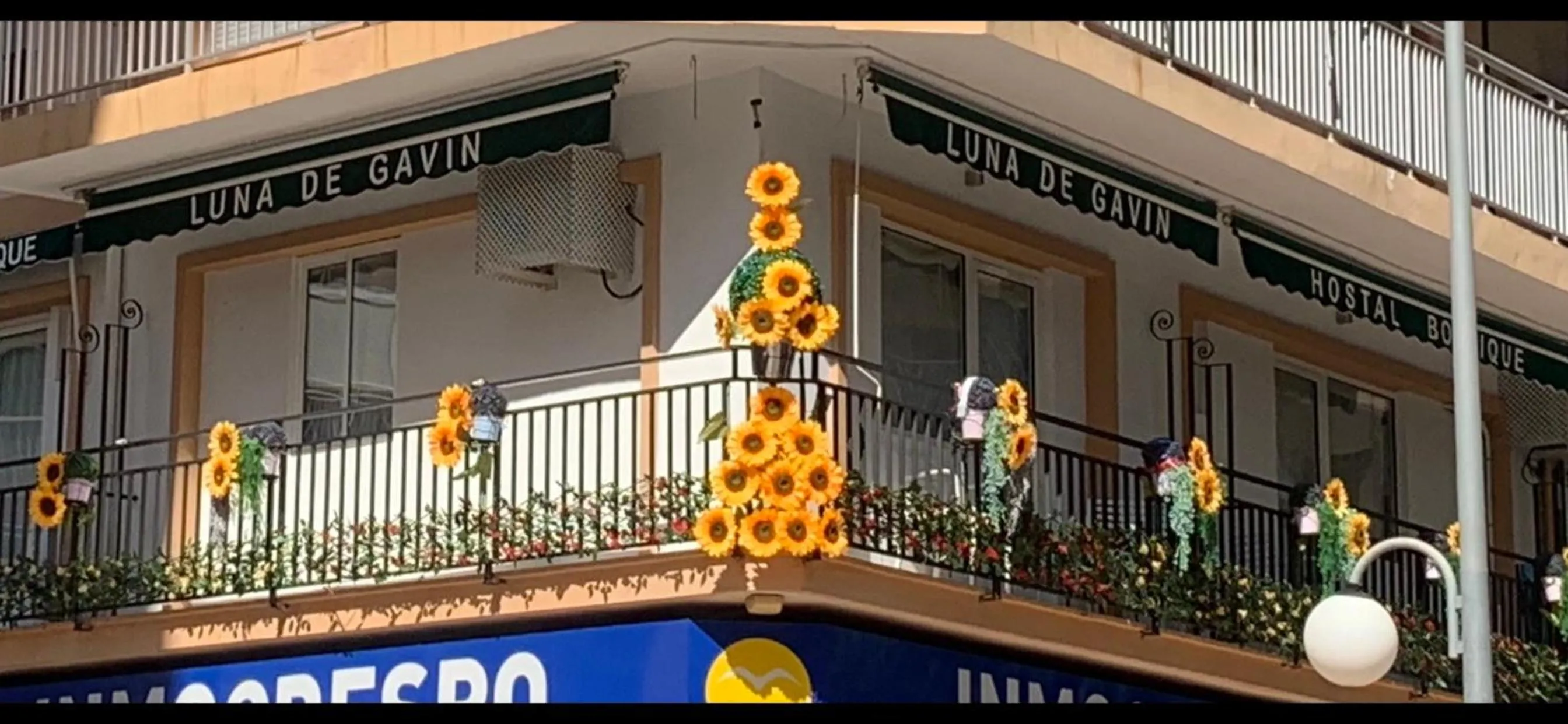 Hostal Boutique Luna de Gavín