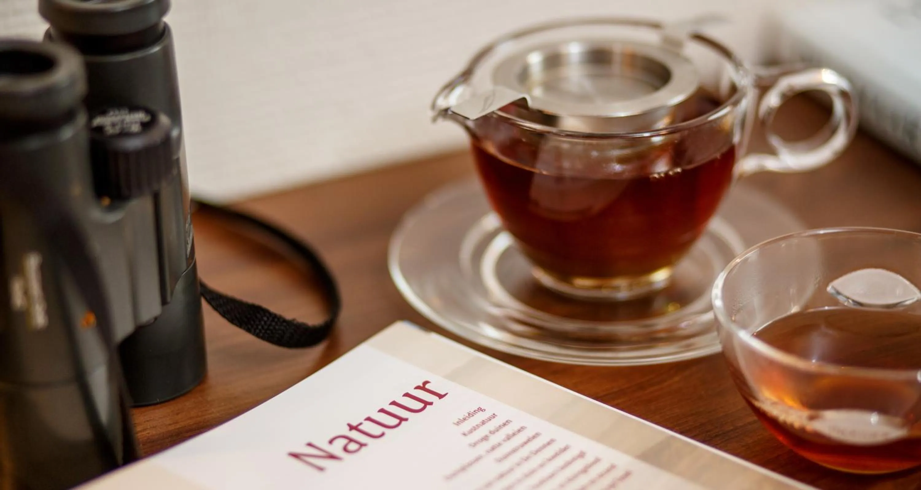 Living room in Prins Hendrik Texel