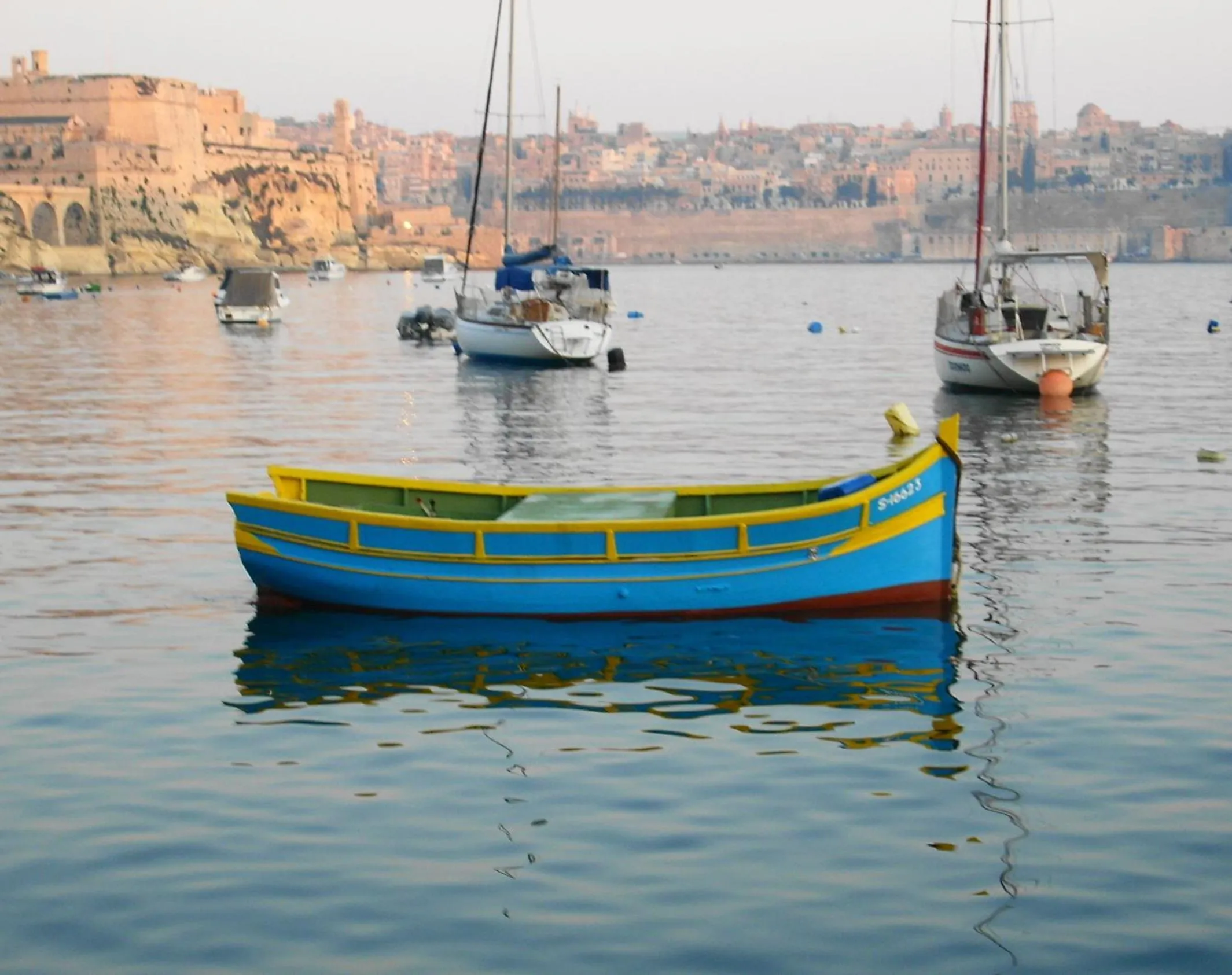 Area and facilities in Villa Del Porto