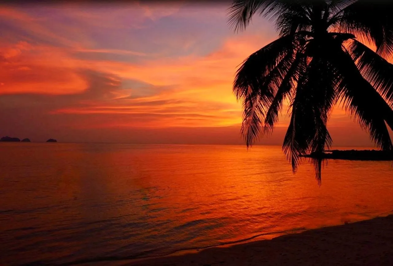 Sibaja Palms Sunset Beach Luxury Apartments
