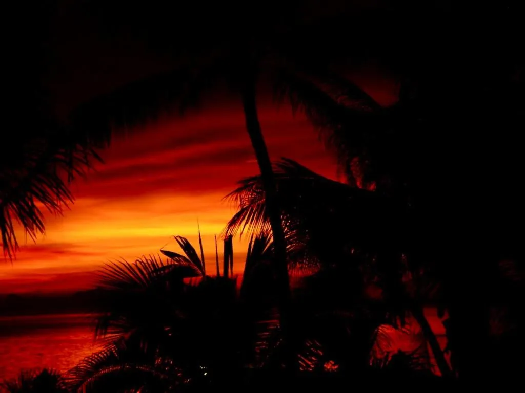 Sibaja Palms Sunset Beach Luxury Apartments
