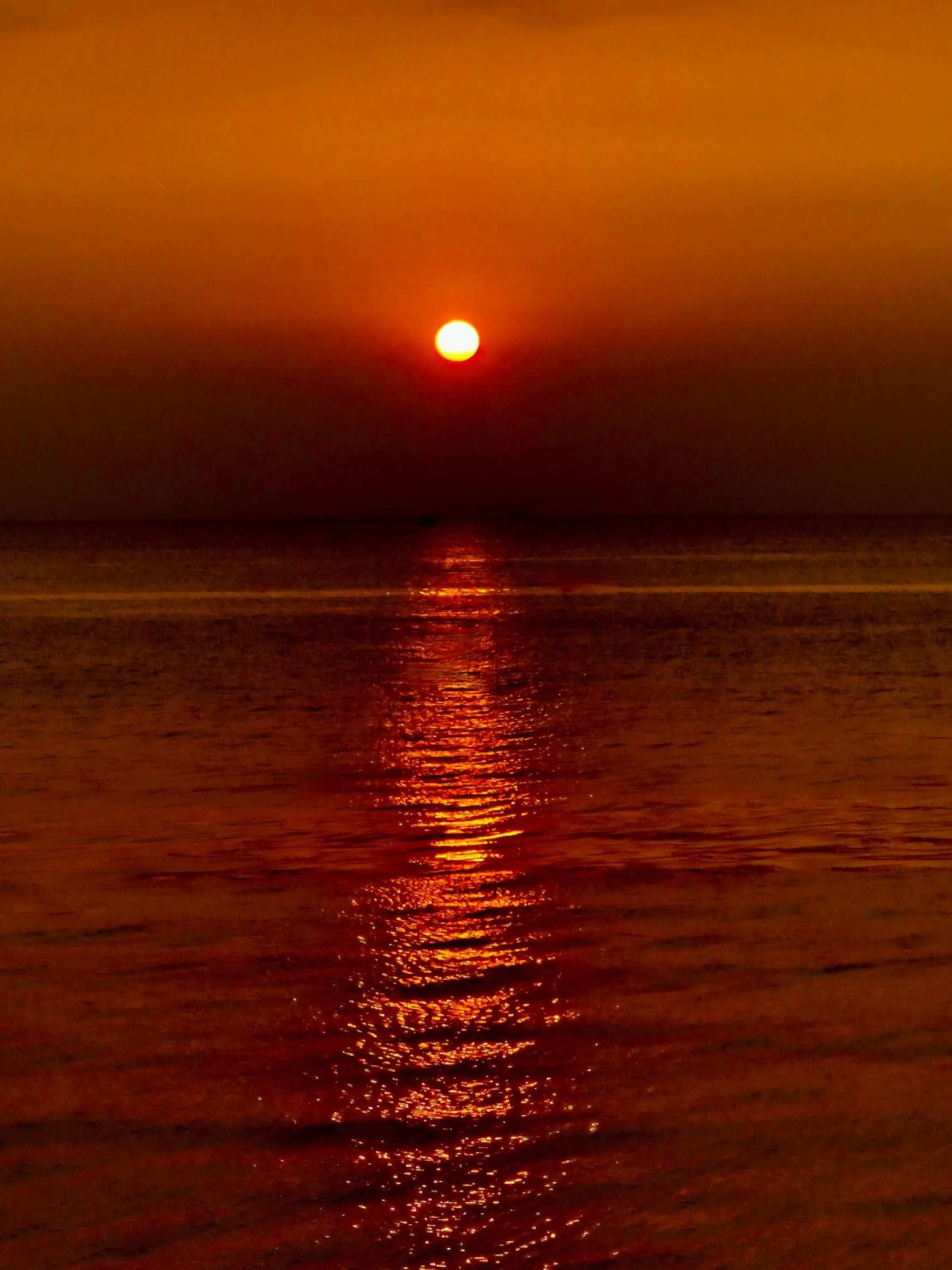Sibaja Palms Sunset Beach Luxury Apartments