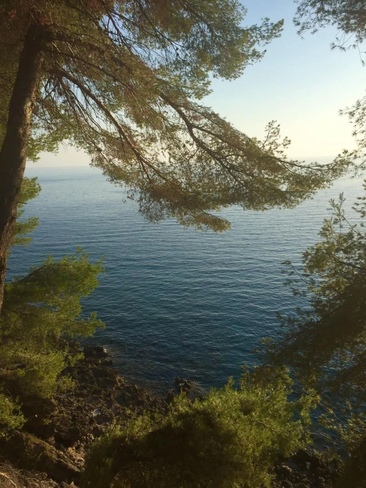 Natural landscape in B&B La Torretta