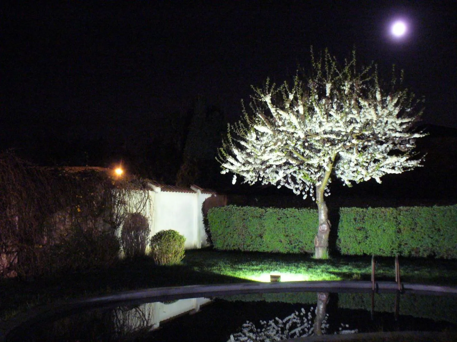 Property building in Fontána