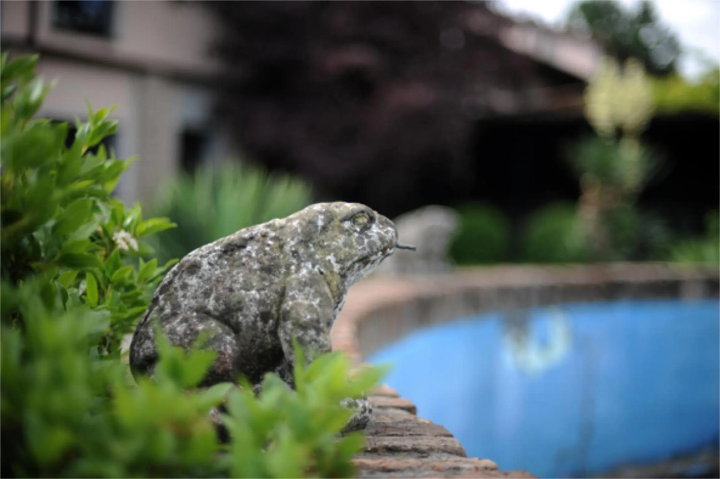Decorative detail in Hotel Villino Della Flanella