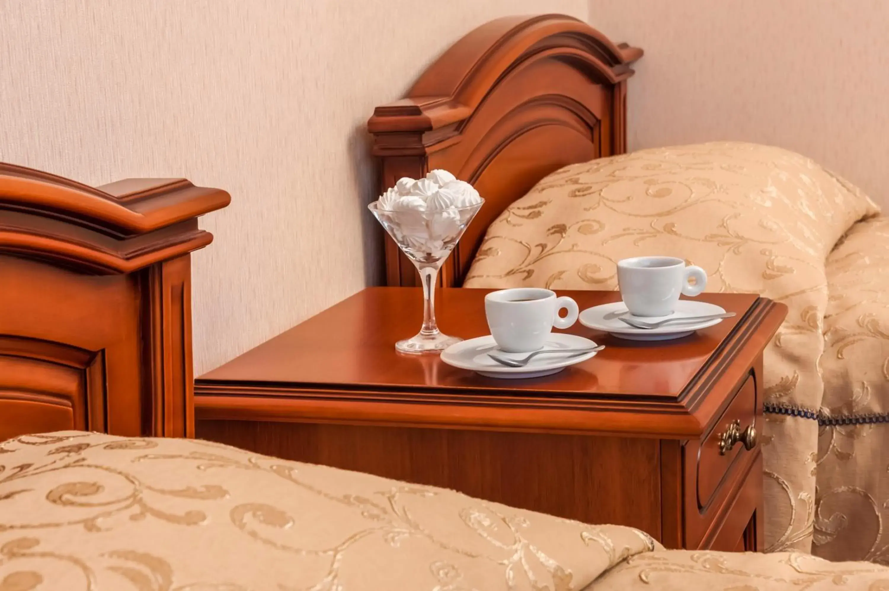 Standard Twin Room - single occupancy in Hotel Kyiv Standard Twin Room - single occupancy in Hotel Kyiv