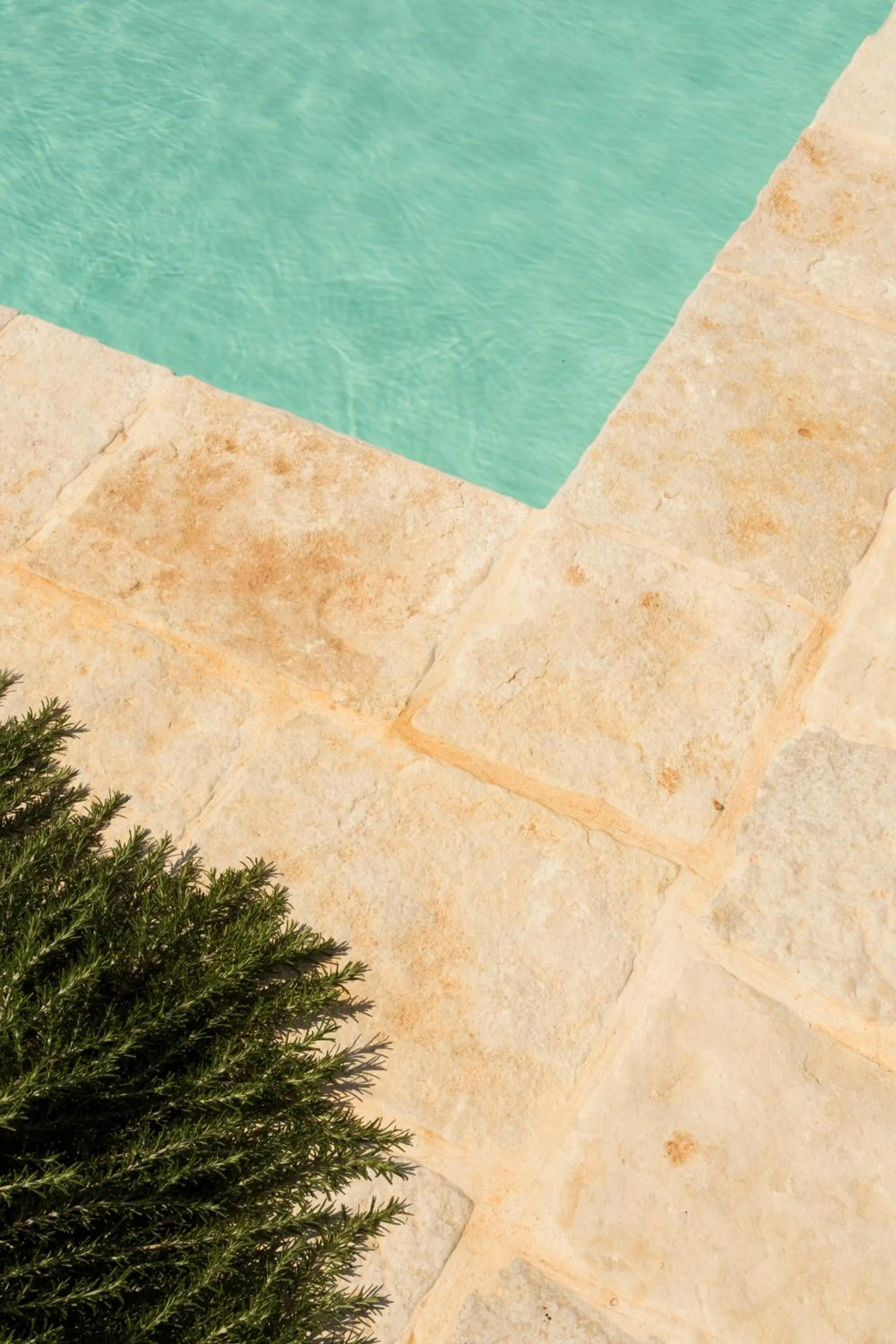 Swimming pool in Masseria Fenicia