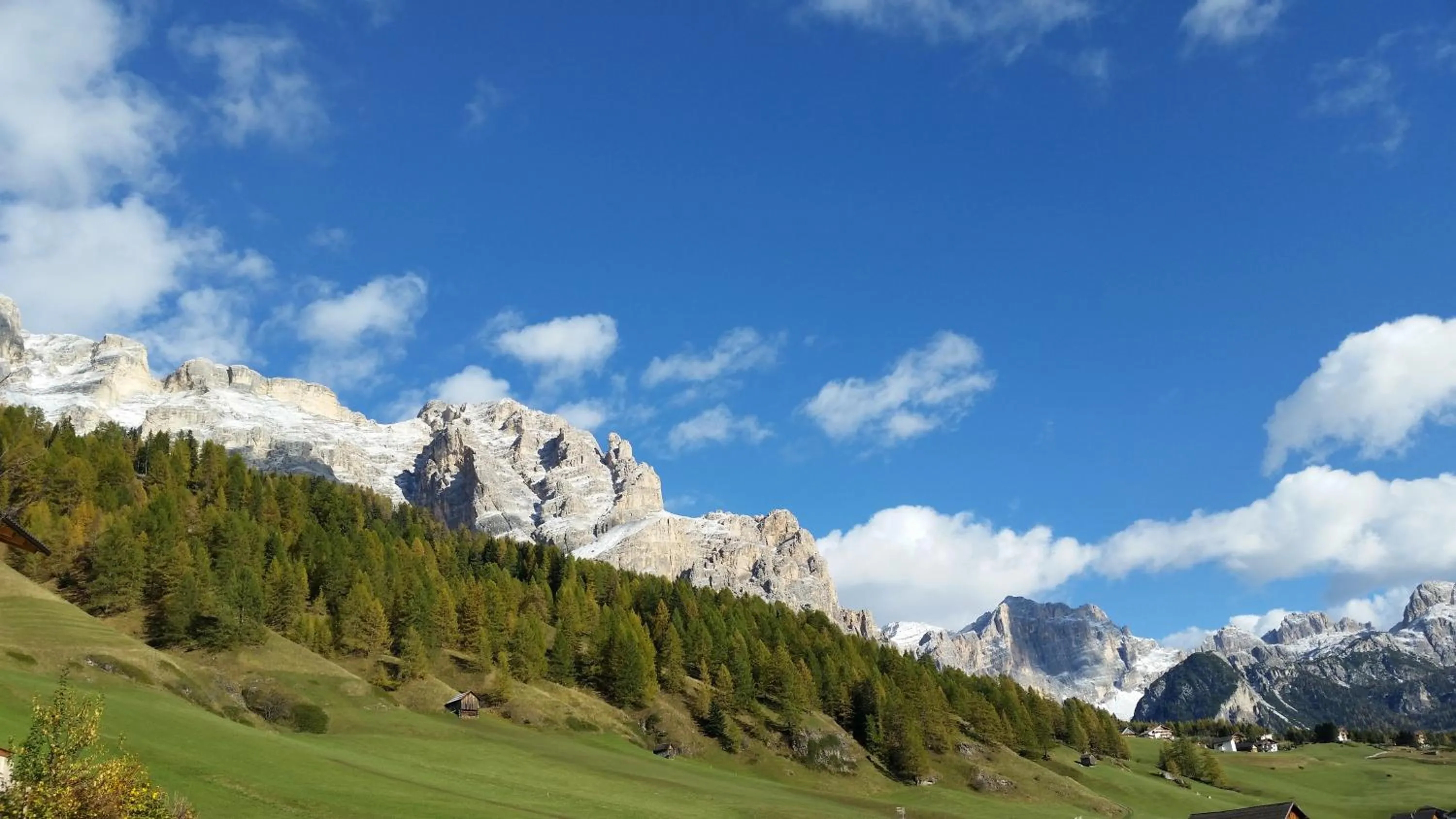 Area and facilities in Family and Wellness Residence Ciasa Antersies